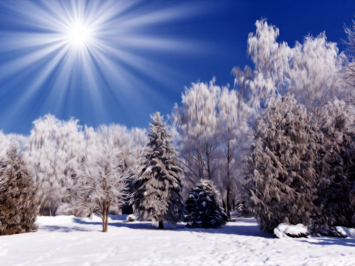 Winter Scene Shining, snowy forest, frost-covered trees, HD Desktop Wallpaper