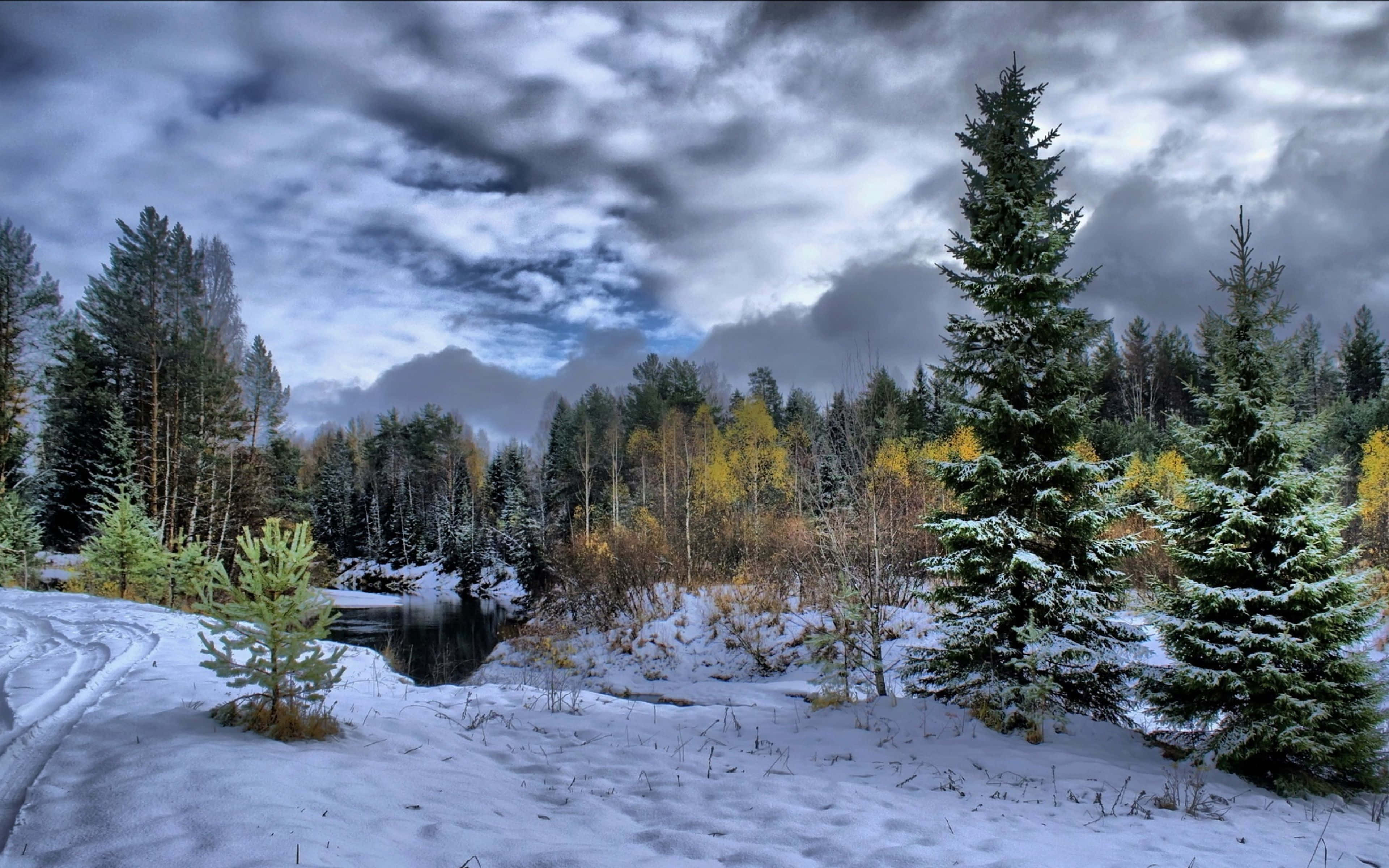 snow covered forest, dark river, cloudy sky, 4K Desktop Wallpaper