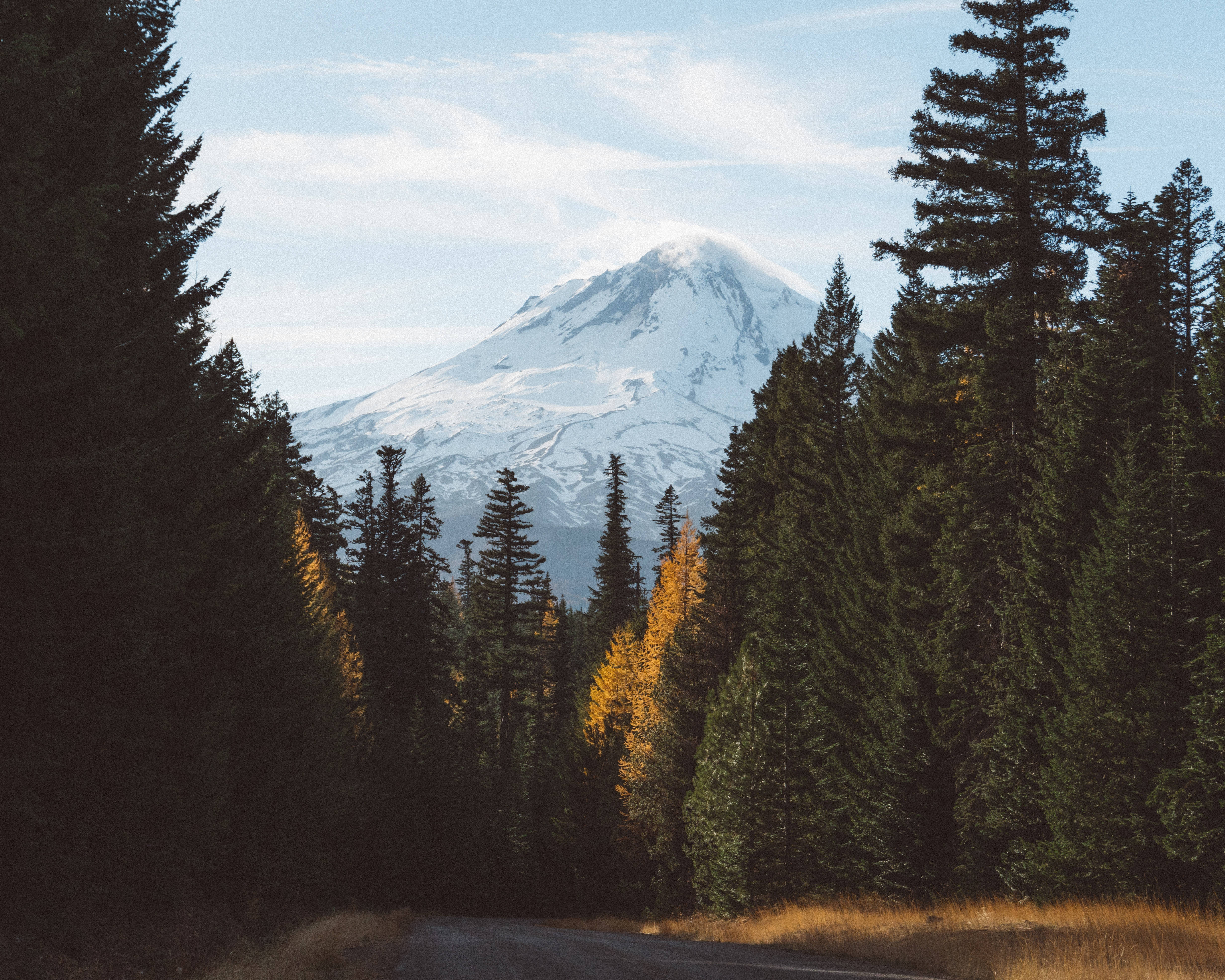 icy mountain, dense forest of evergreens and golden maples, winding road, 4K Desktop Wallpaper
