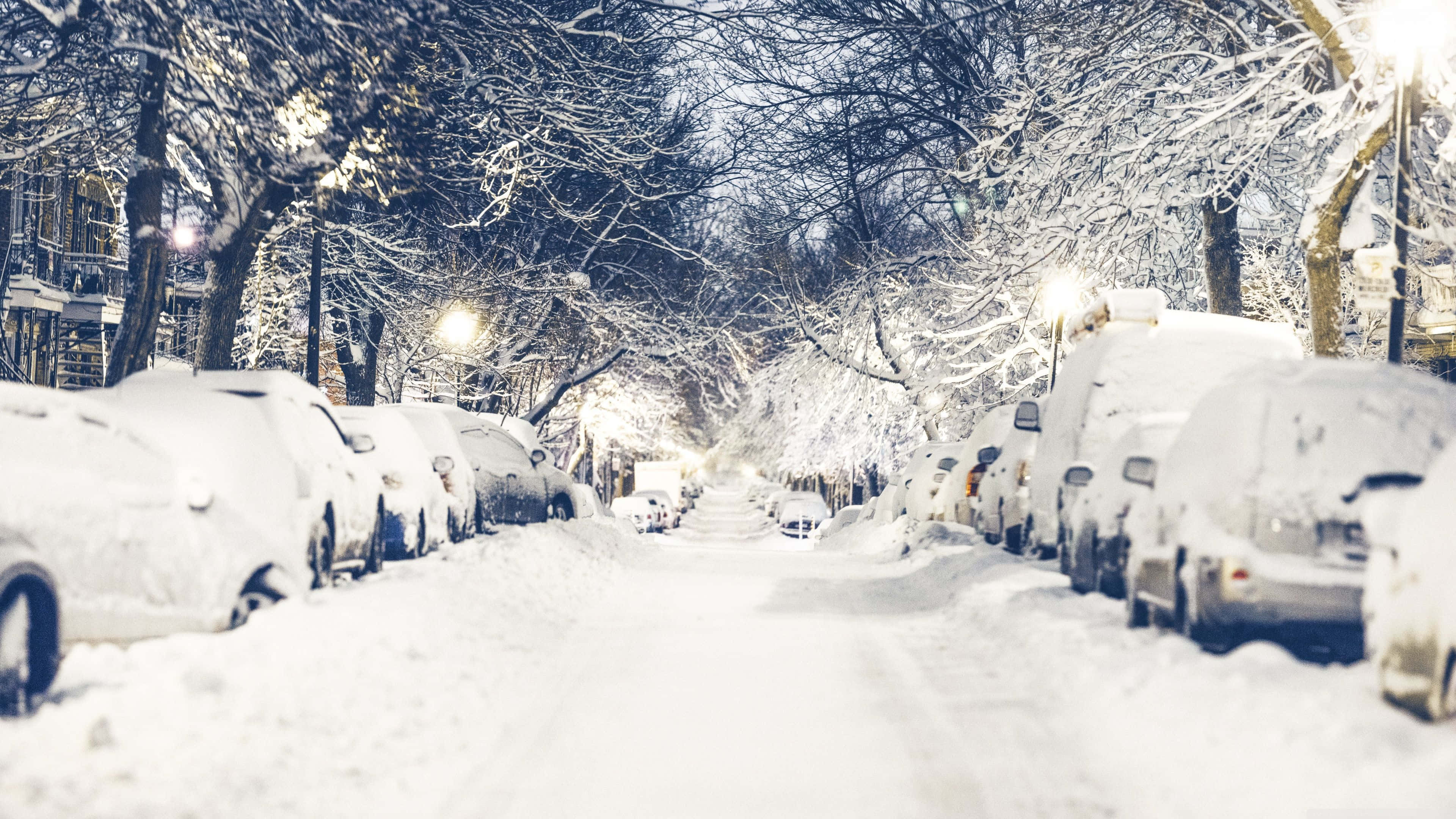 Winter Forest, snow, parked cars, 4K Desktop Wallpaper