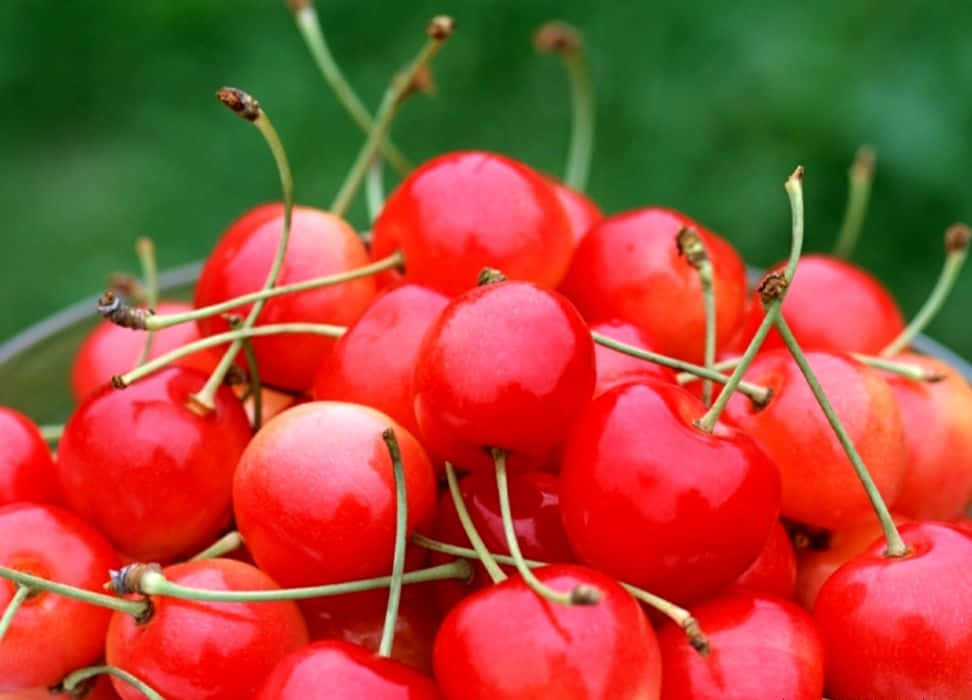 Winter Fruits, glass bowl, juicy ripe cherries, SD Desktop Wallpaper