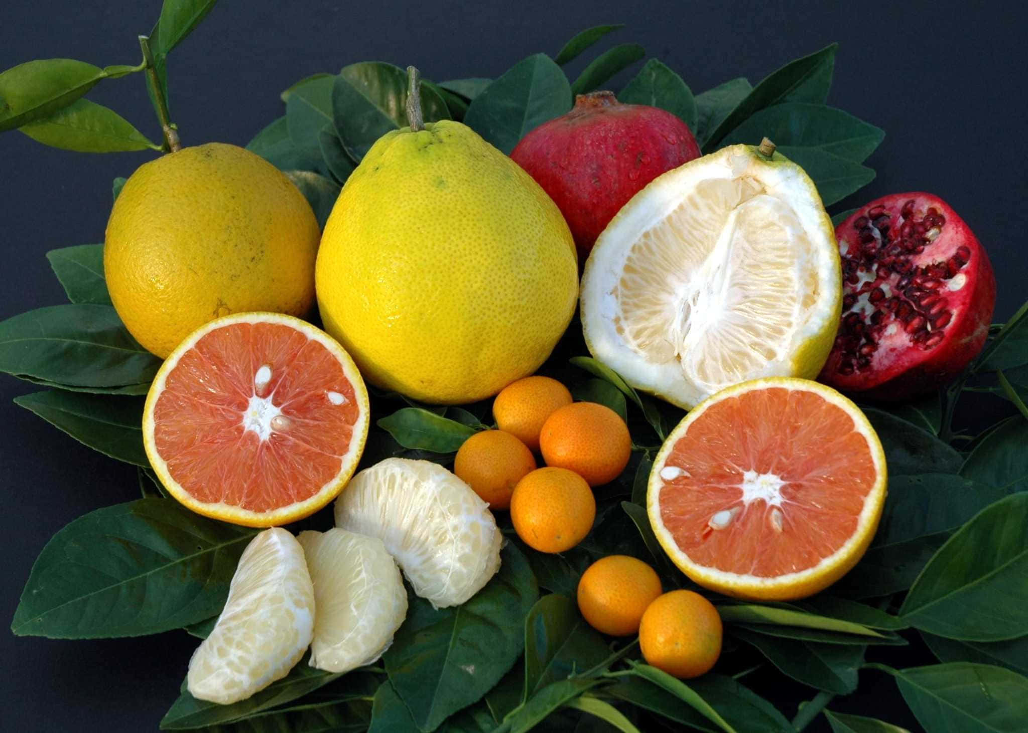 Winter Fruits, citrus fruits, grapefruits, Full HD Desktop Wallpaper