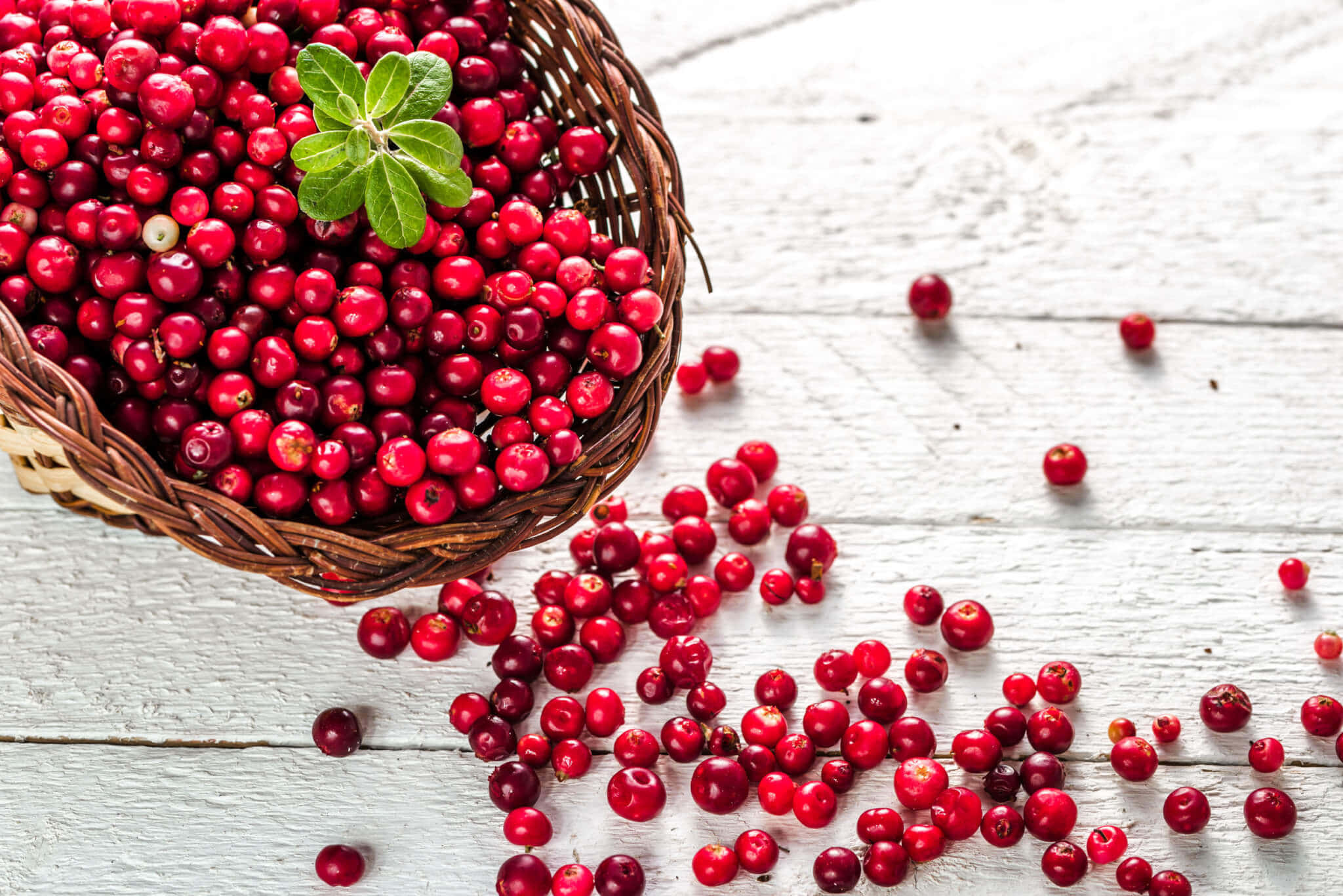 winter fruits, cranberries, woven basket, Full HD Desktop Wallpaper