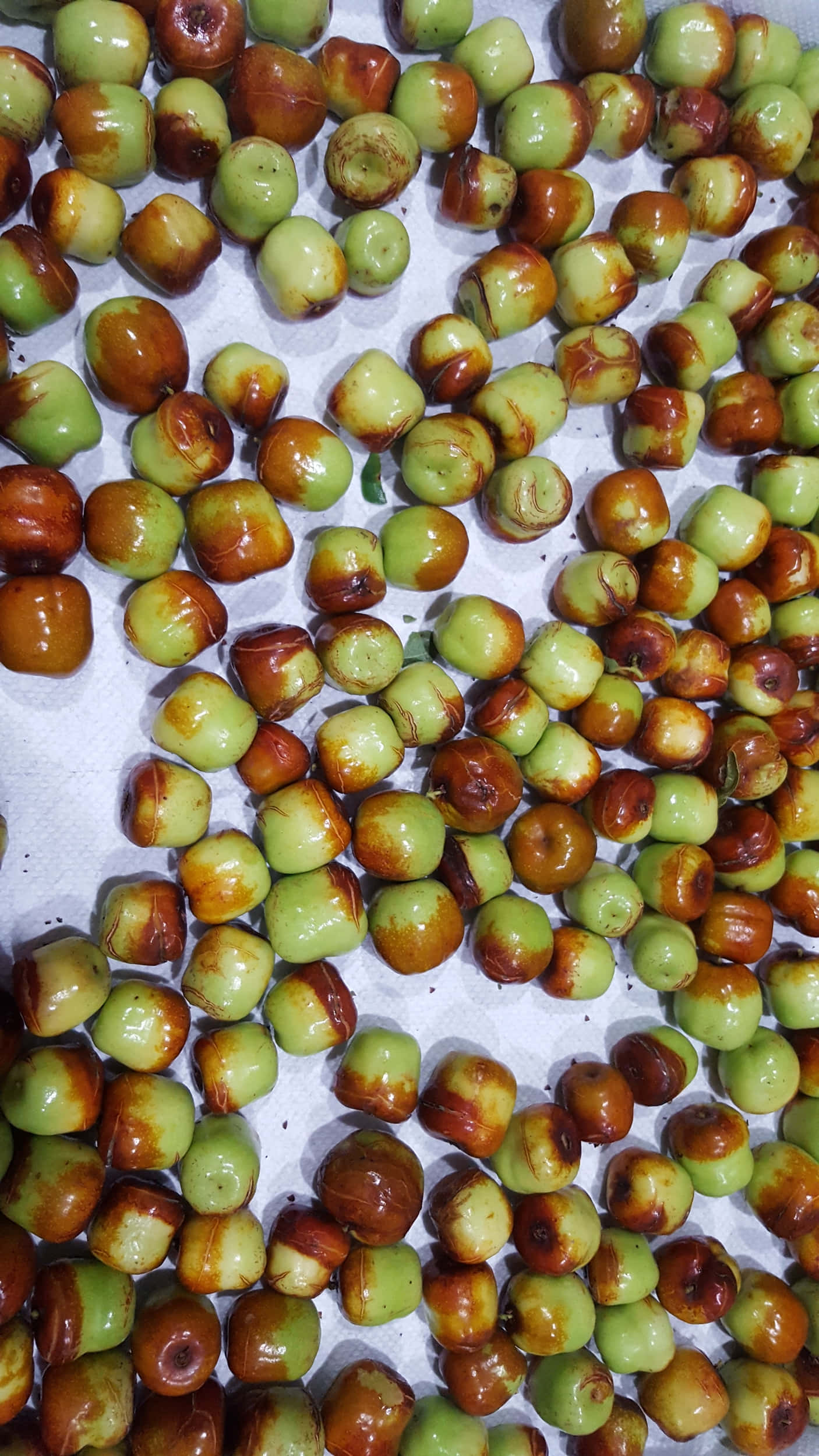 Winter Fruits, jujubes, glossy green, Full HD Phone Wallpaper