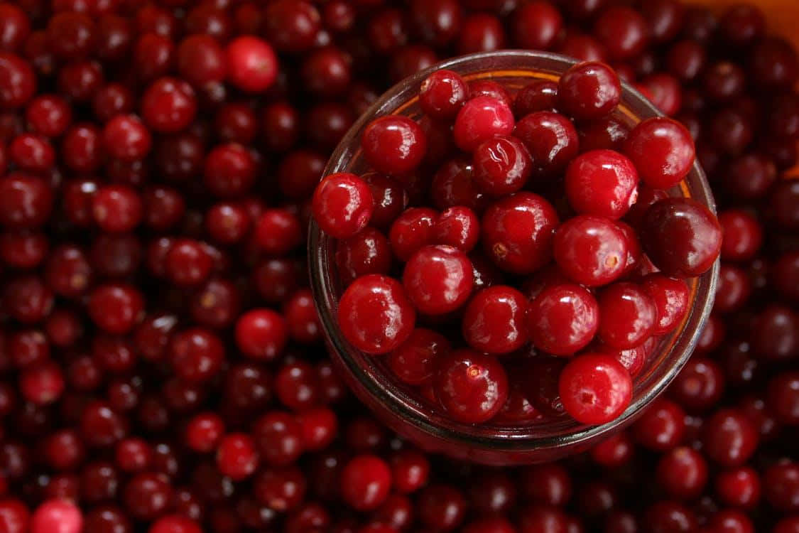 Winter Fruits, glass bowl, glossy red cranberries, SD Desktop Wallpaper