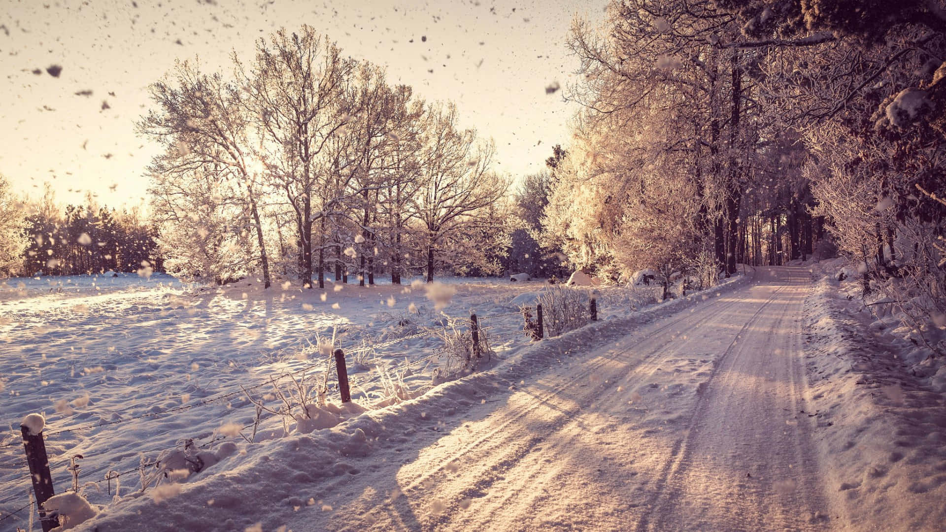 Winter HD Desktop, snow-covered rural road, frosty trees, Full HD Desktop Wallpaper