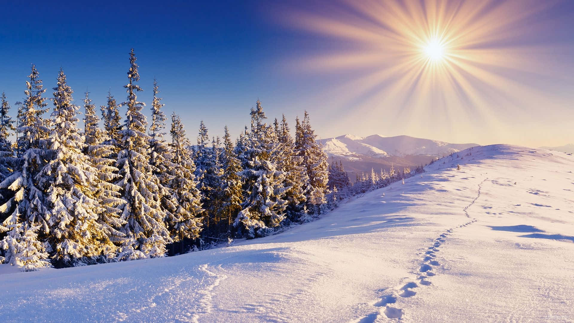 snow-covered pine trees, winding footpath, serene winter mountain landscape, Full HD Desktop Wallpaper