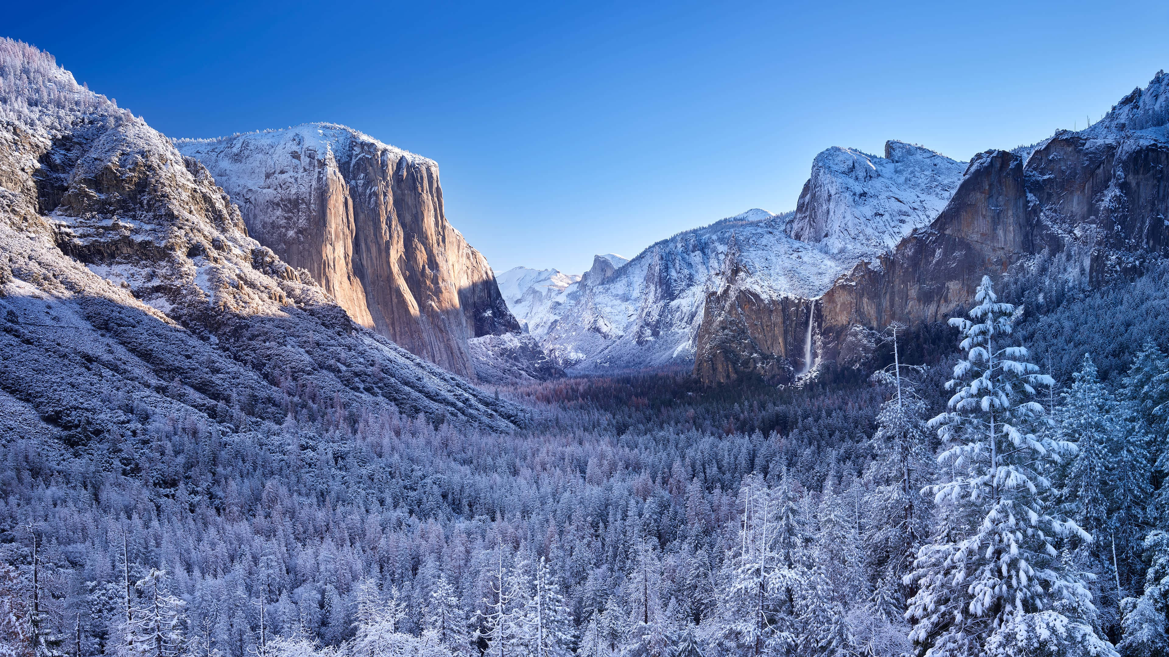 Snowy trees, winter landscape, granite cliffs, 4K Desktop Wallpaper