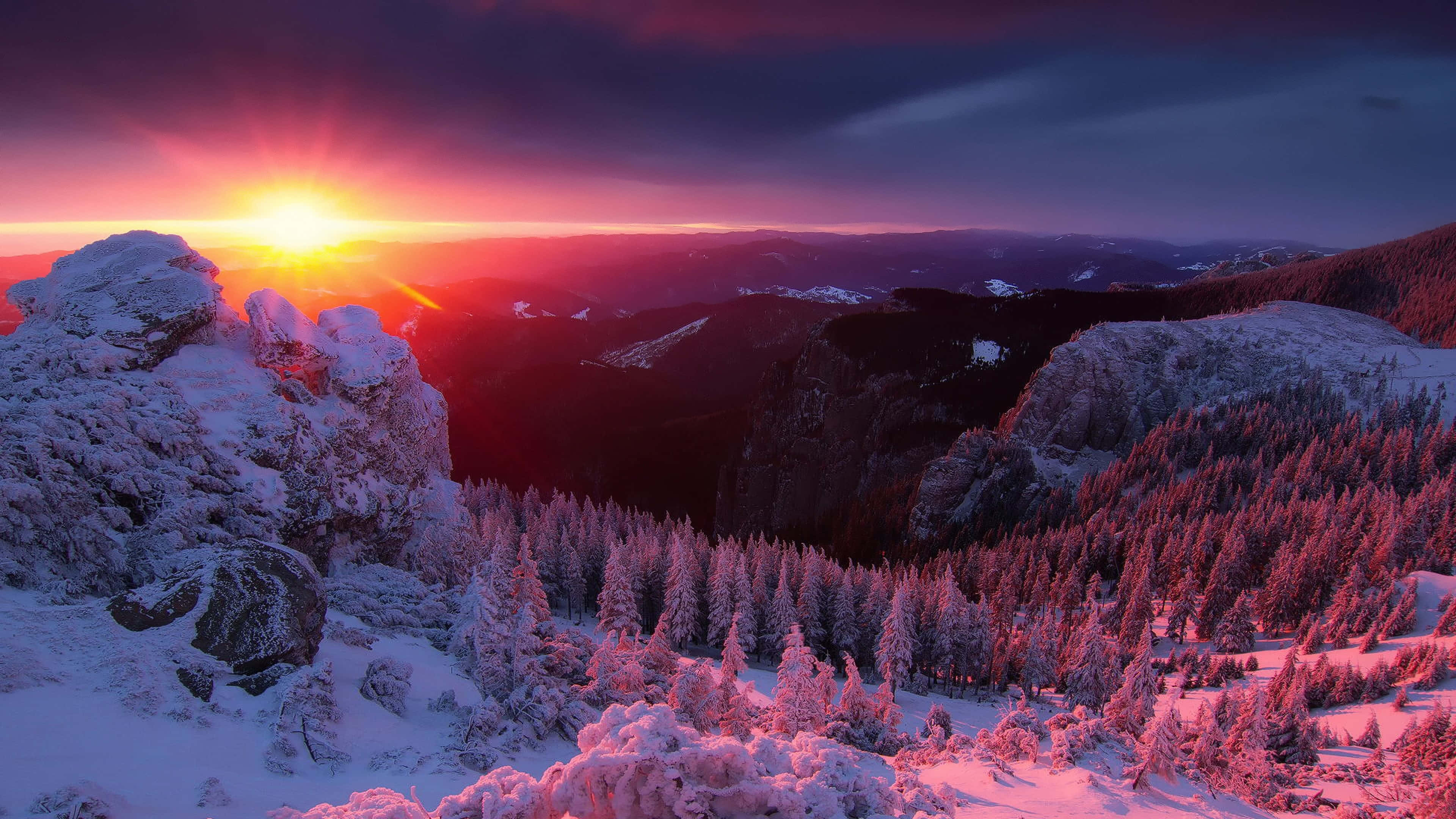 Sunrise, snow-covered mountains, pine forests, 4K Desktop Wallpaper