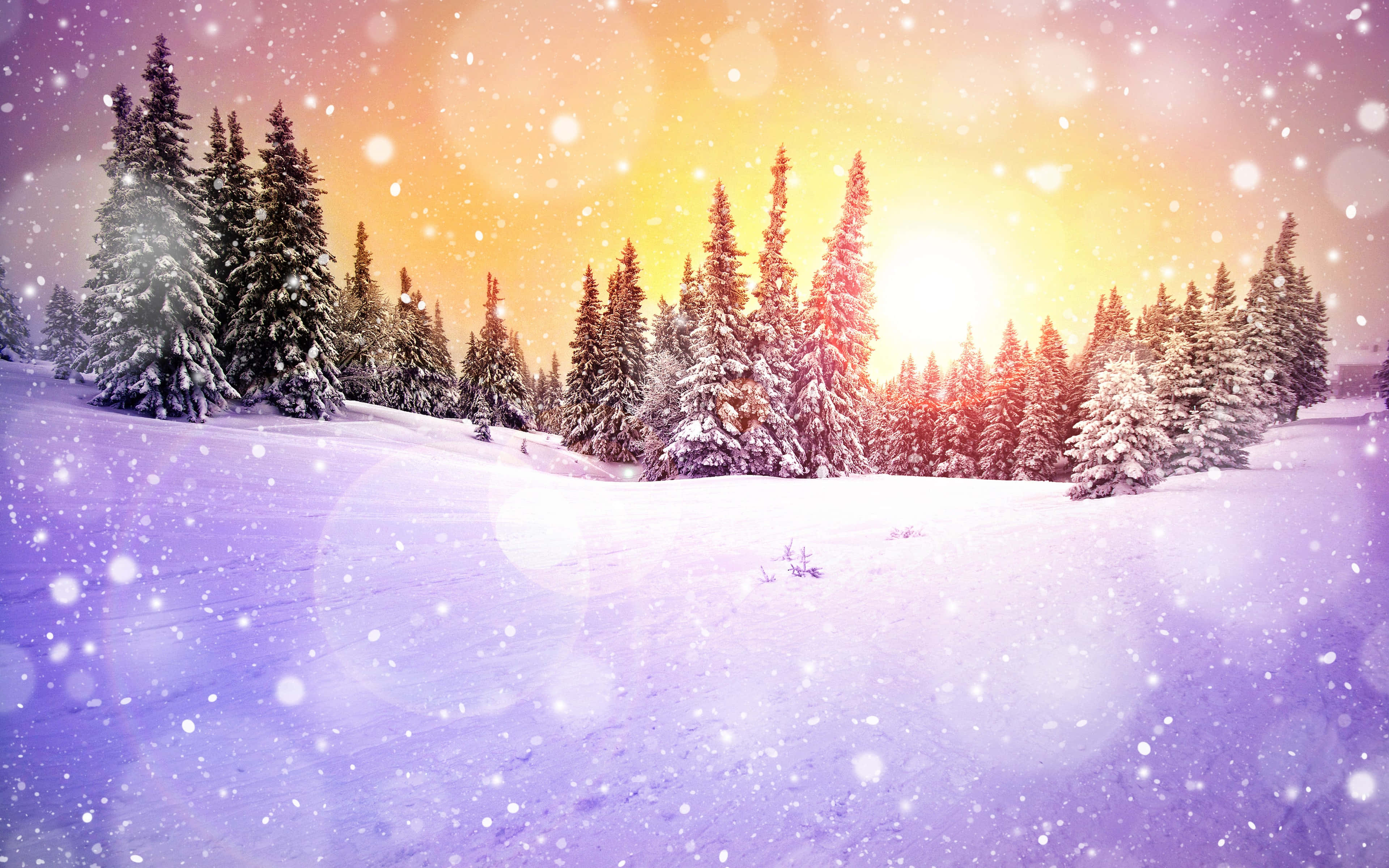 Snowy Winter Wonderland, pine trees, glowing sunset sky, 4K Desktop Wallpaper