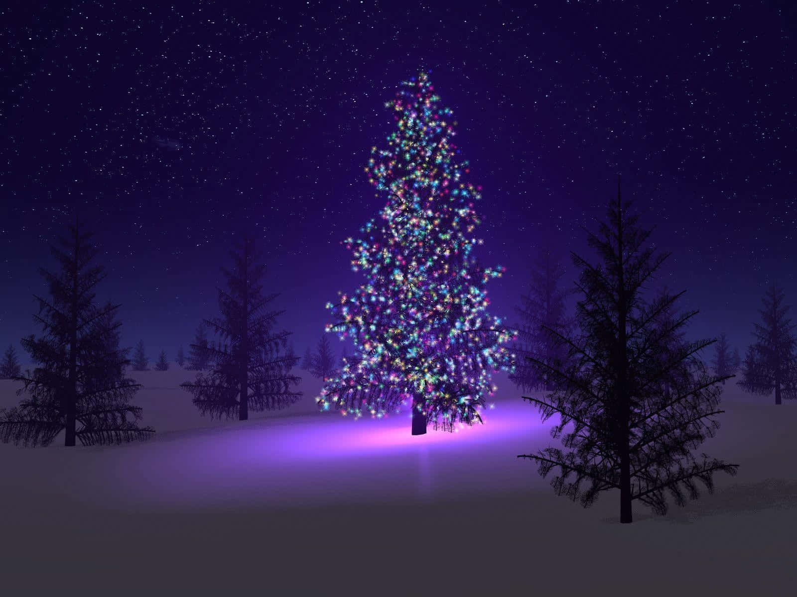 Winter Holiday Desktop, Christmas Tree, colorful lights, HD Desktop Wallpaper