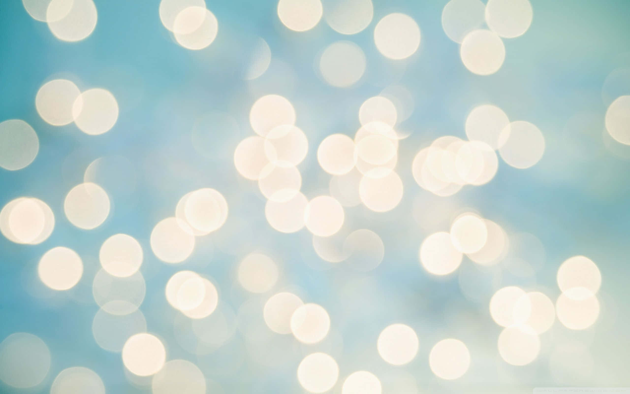 winter holiday desktop, 2560 x 1600, soft glowing bokeh lights, 2K Desktop Wallpaper