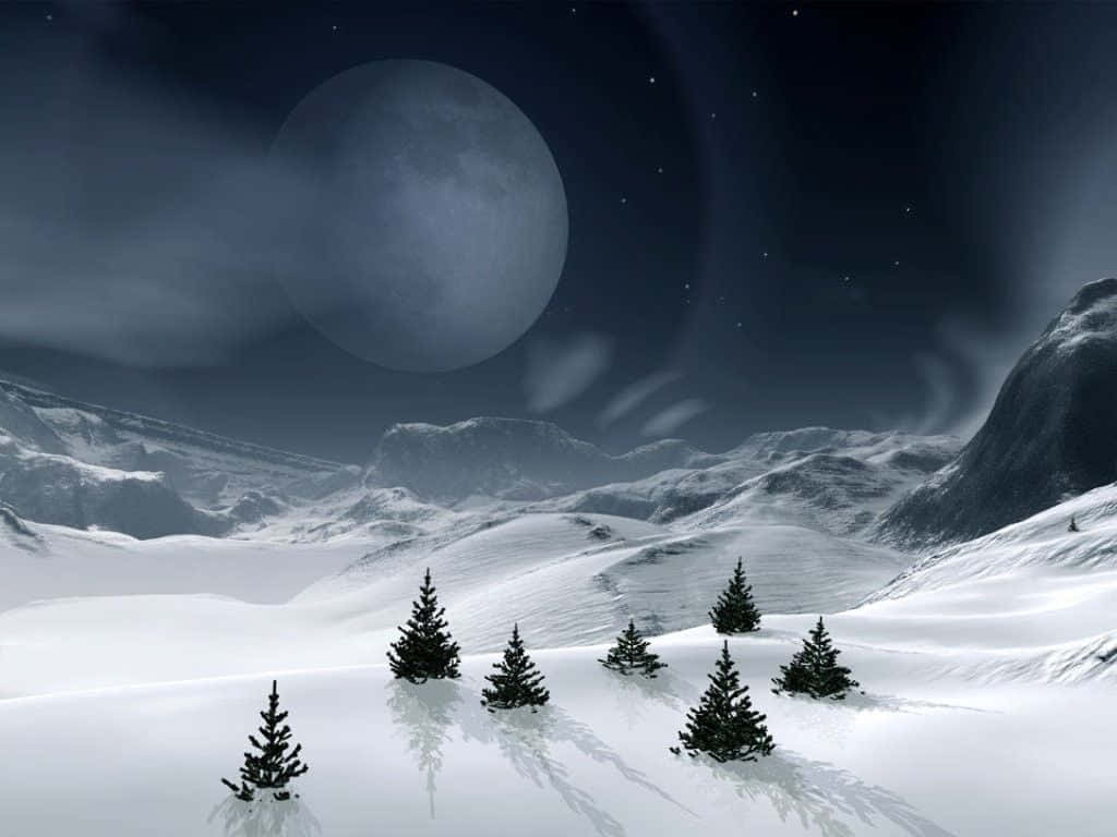 Winter Holiday Desktop, pine trees, snowy mountain, SD Desktop Wallpaper