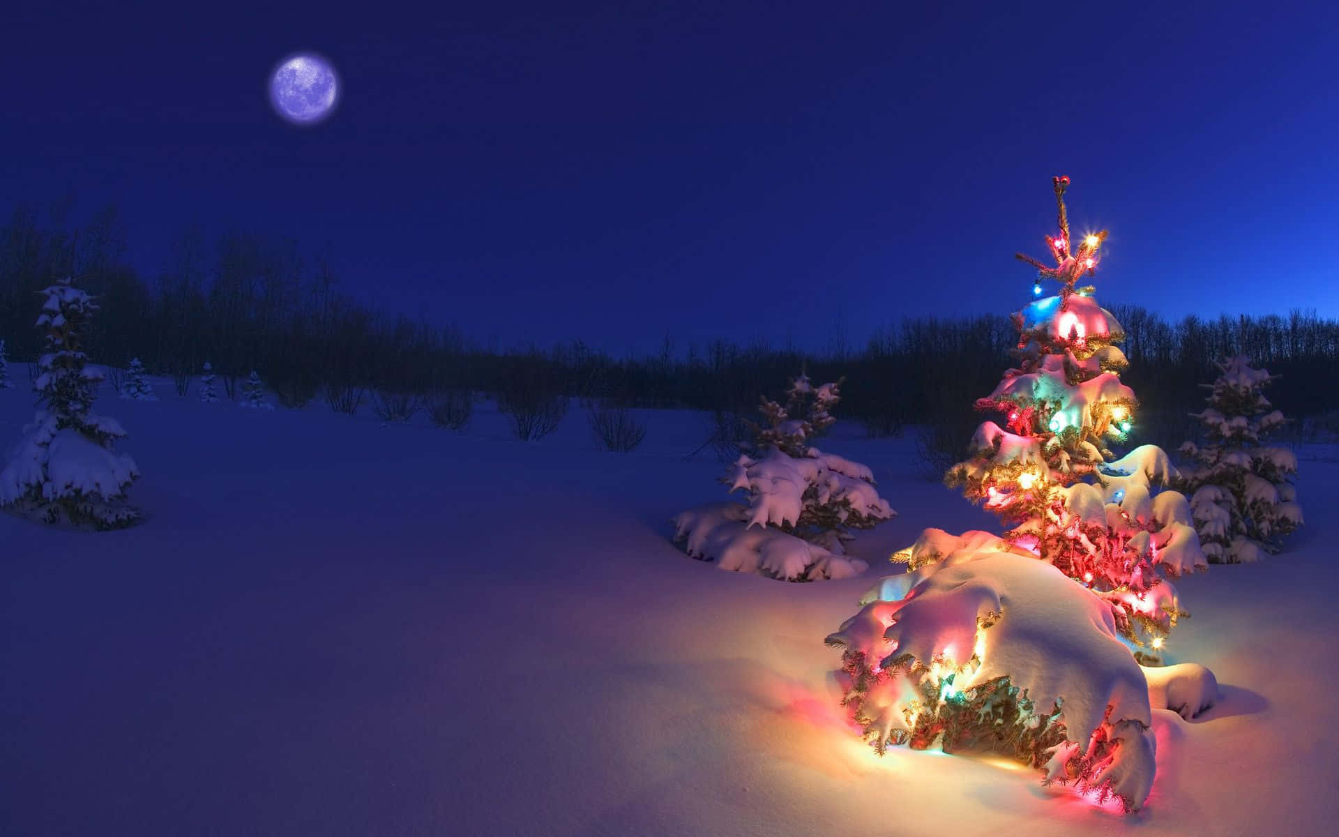 Winter Holiday Desktop, colorful Christmas tree, snow-covered evergreen tree, Full HD Desktop Wallpaper
