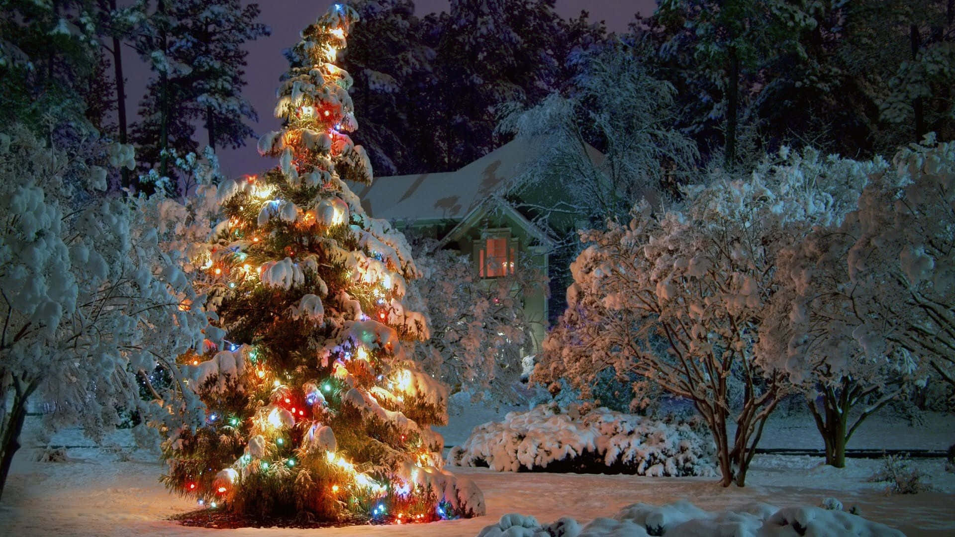 Winter Holiday Desktop, Christmas tree, colorful lights, Full HD Desktop Wallpaper