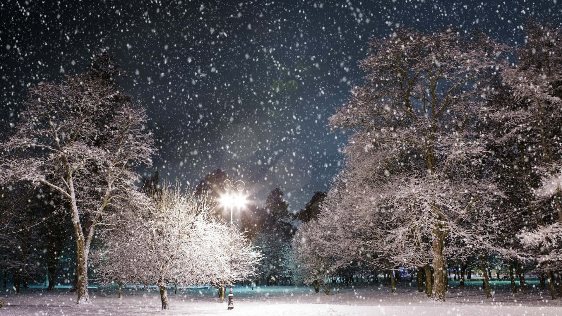 Winter Holiday, snowflakes, streetlamp, Full HD Desktop Wallpaper