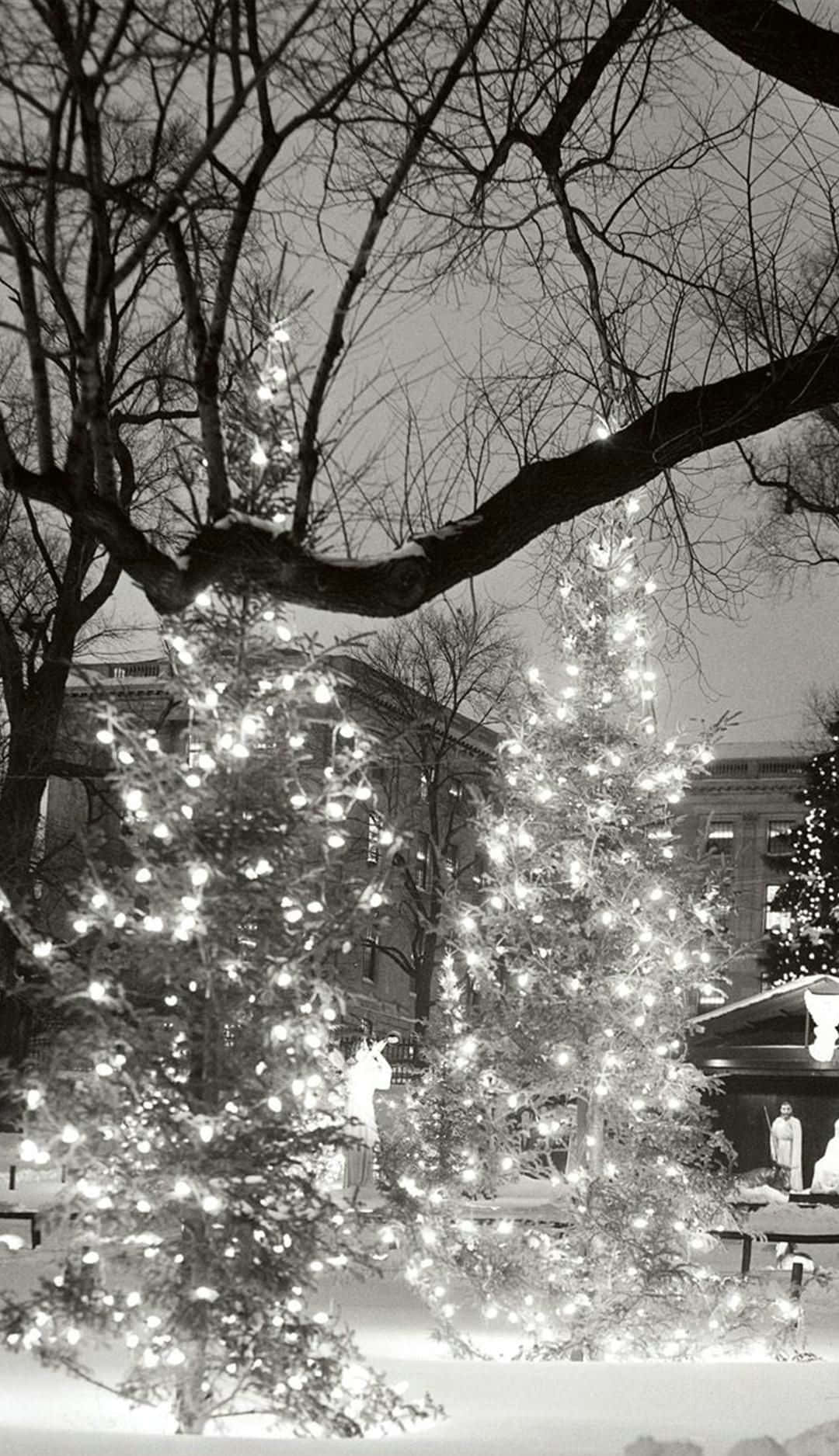 Winter Holiday, Snowy Winter Wonderland, monochrome winter night, HD Phone Wallpaper