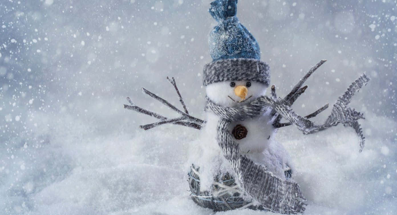 Winter Holiday, snowman, blue hat, HD Desktop Wallpaper
