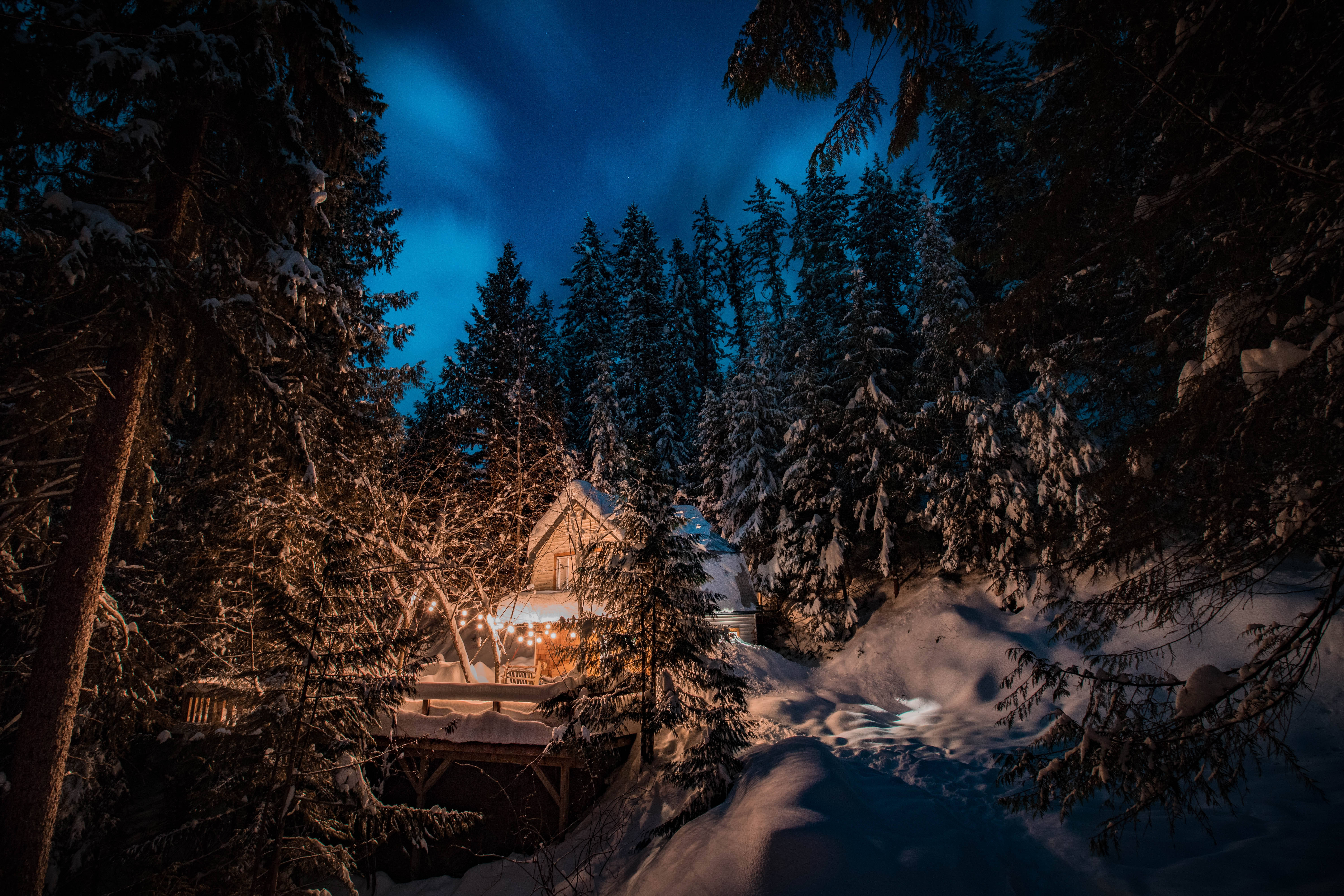 snow-covered cabin, starry winter night sky, snow-laden pine trees, 5K Desktop Wallpaper