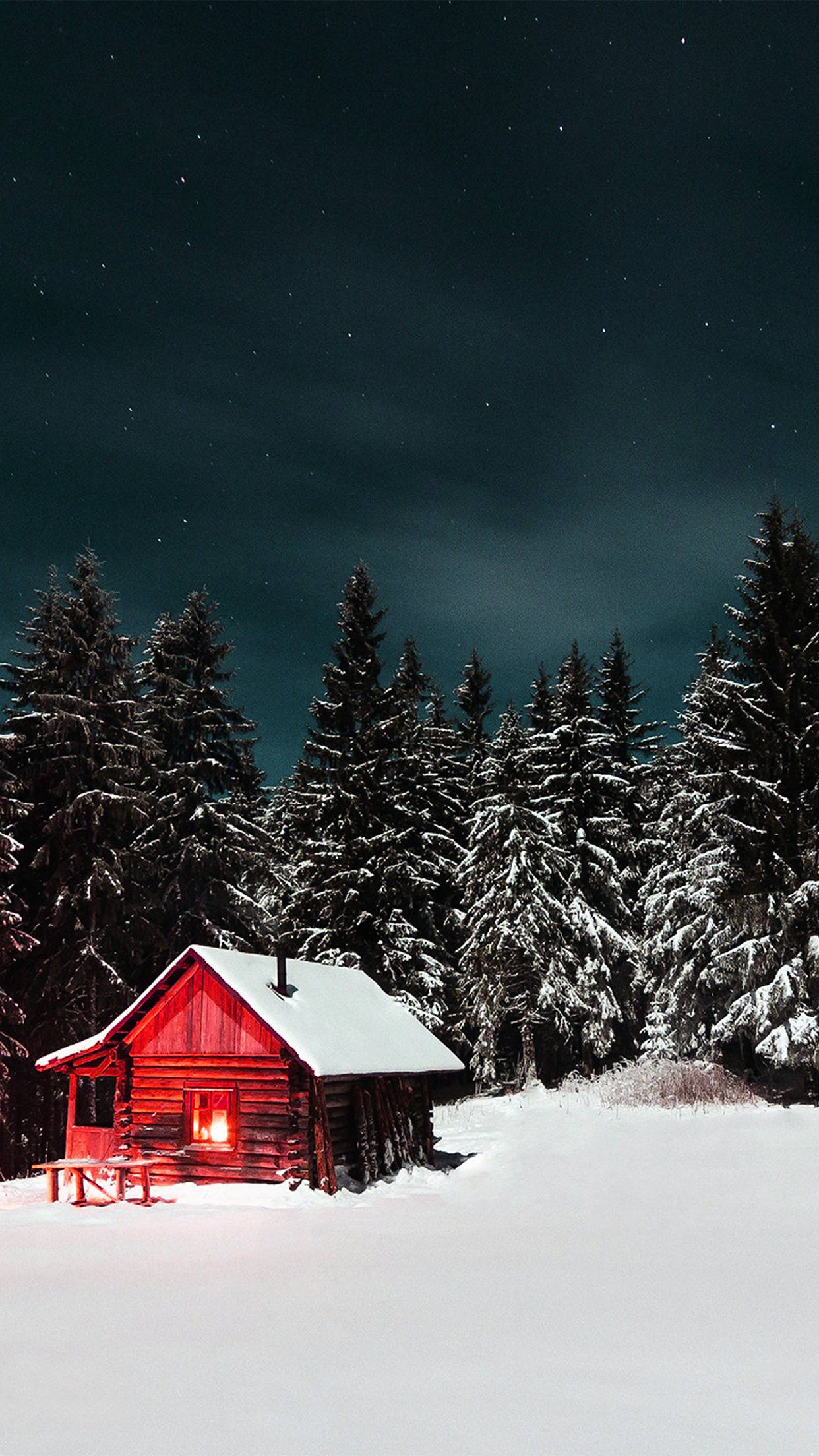 red cabin, starry night sky, snow-covered pine trees, Full HD Phone Wallpaper