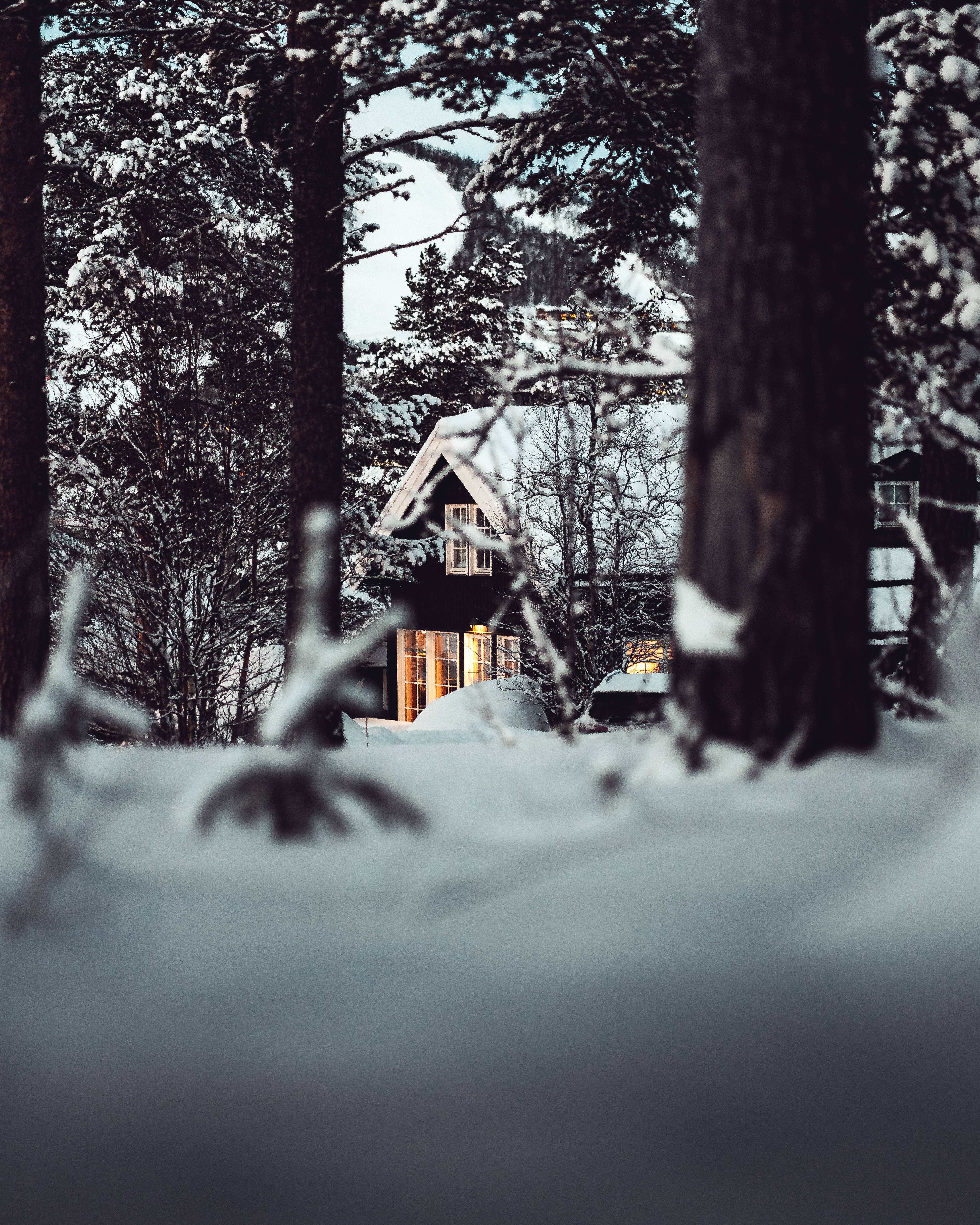 house in snowy forest, cozy cabin, snowy forest, 4K Phone Wallpaper