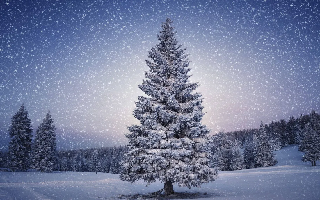 Winter iPhone