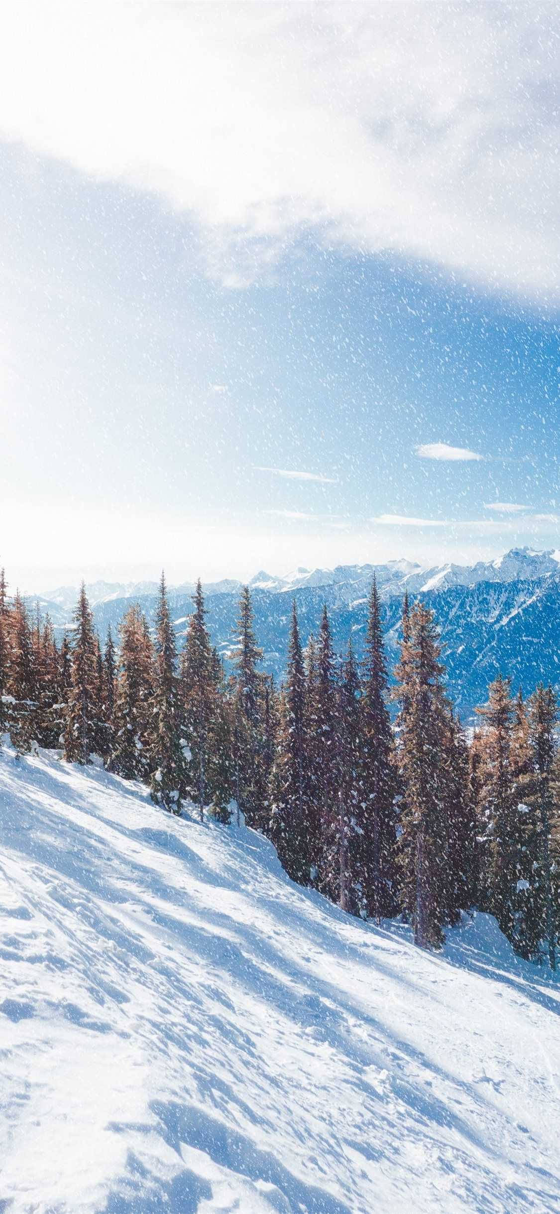 pine trees, mountain, winter, Full HD Phone Wallpaper