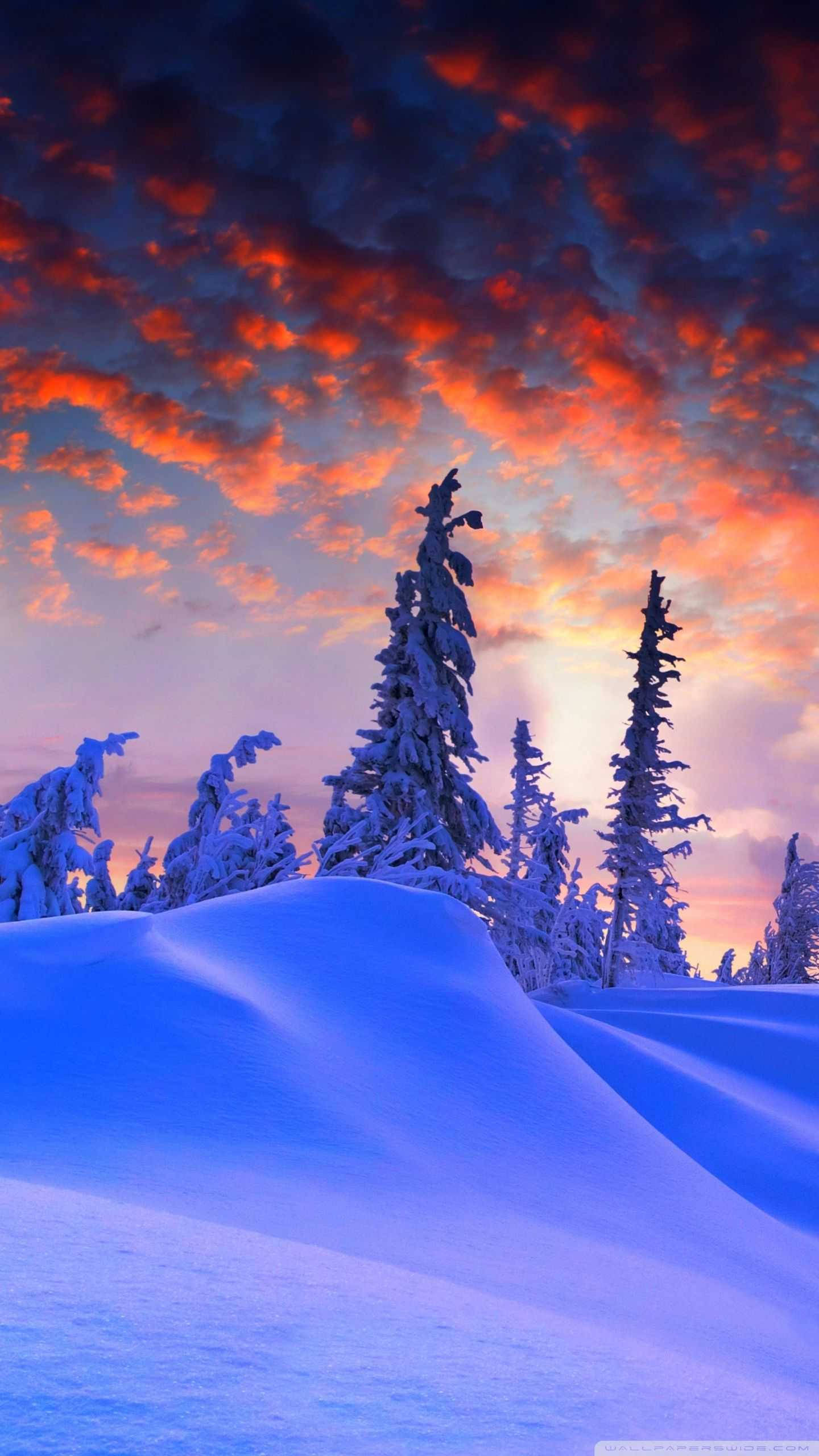 purple snow, trees, winter iPhone, 2K Phone Wallpaper