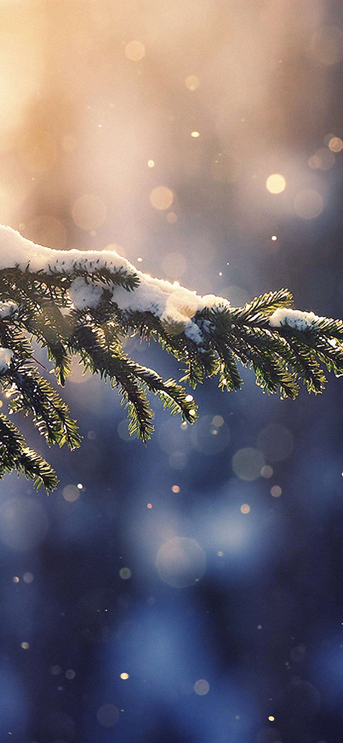 pine leaves, snow, golden light, Full HD Phone Wallpaper