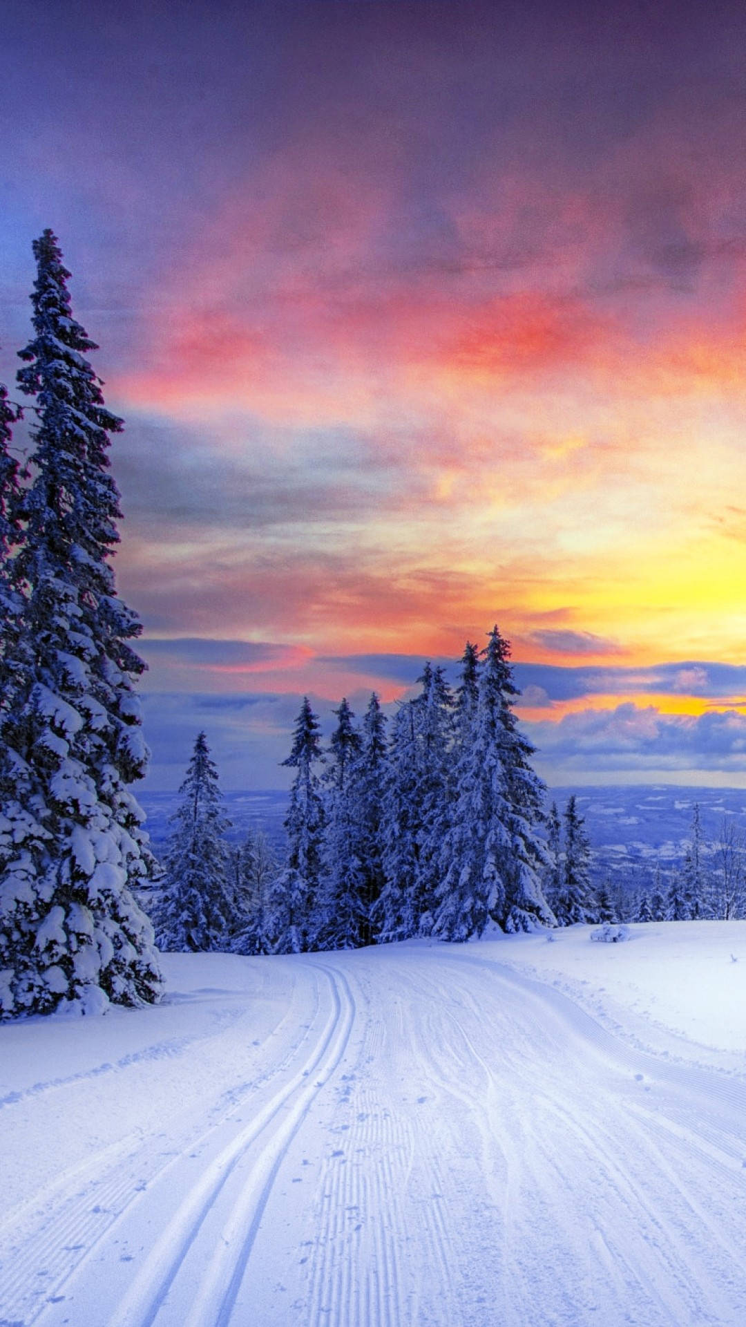 pine trees, orange sky, winter, Full HD Phone Wallpaper