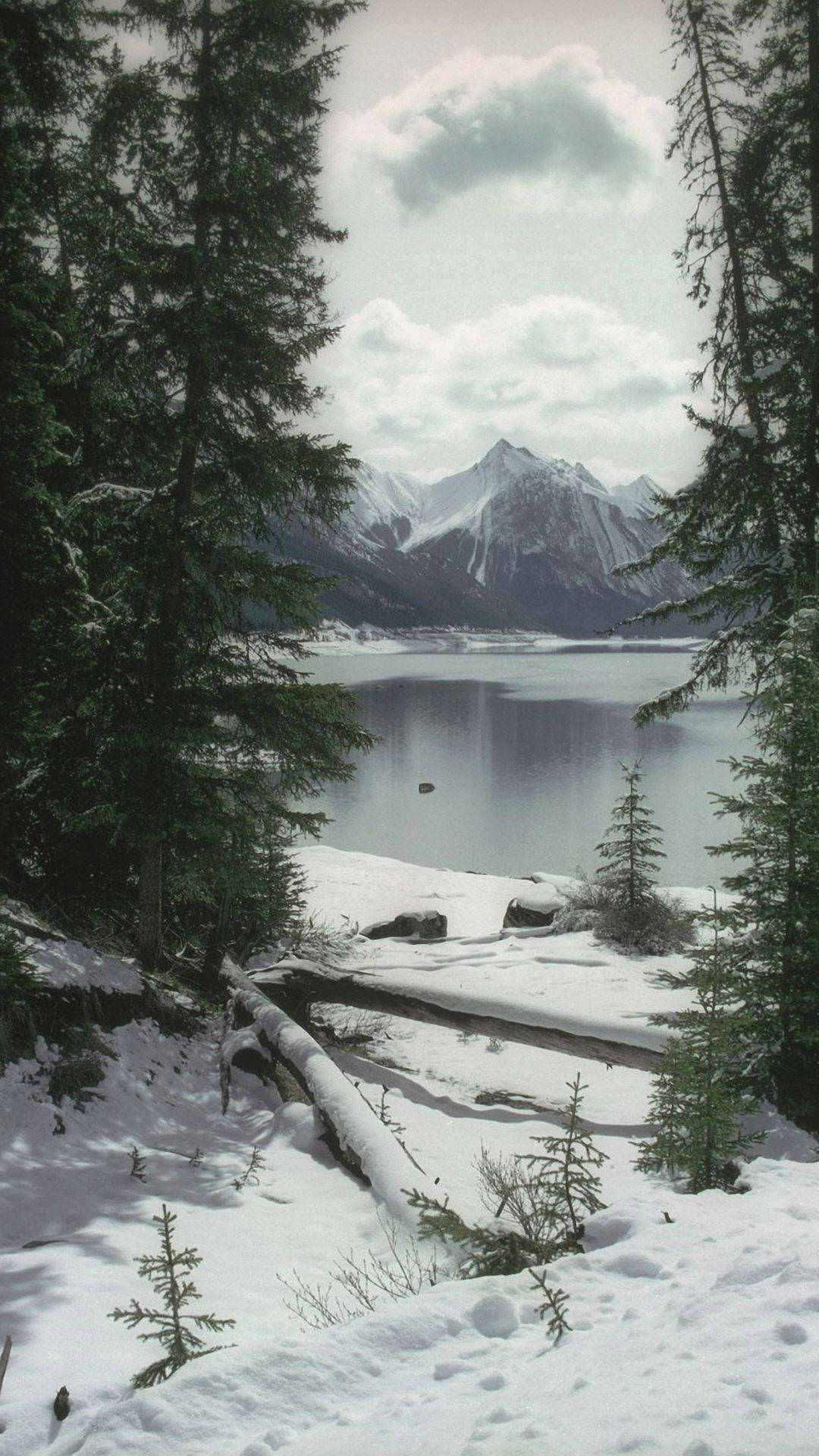 alpine lake, evergreen trees, snow-capped mountains, Full HD Phone Wallpaper