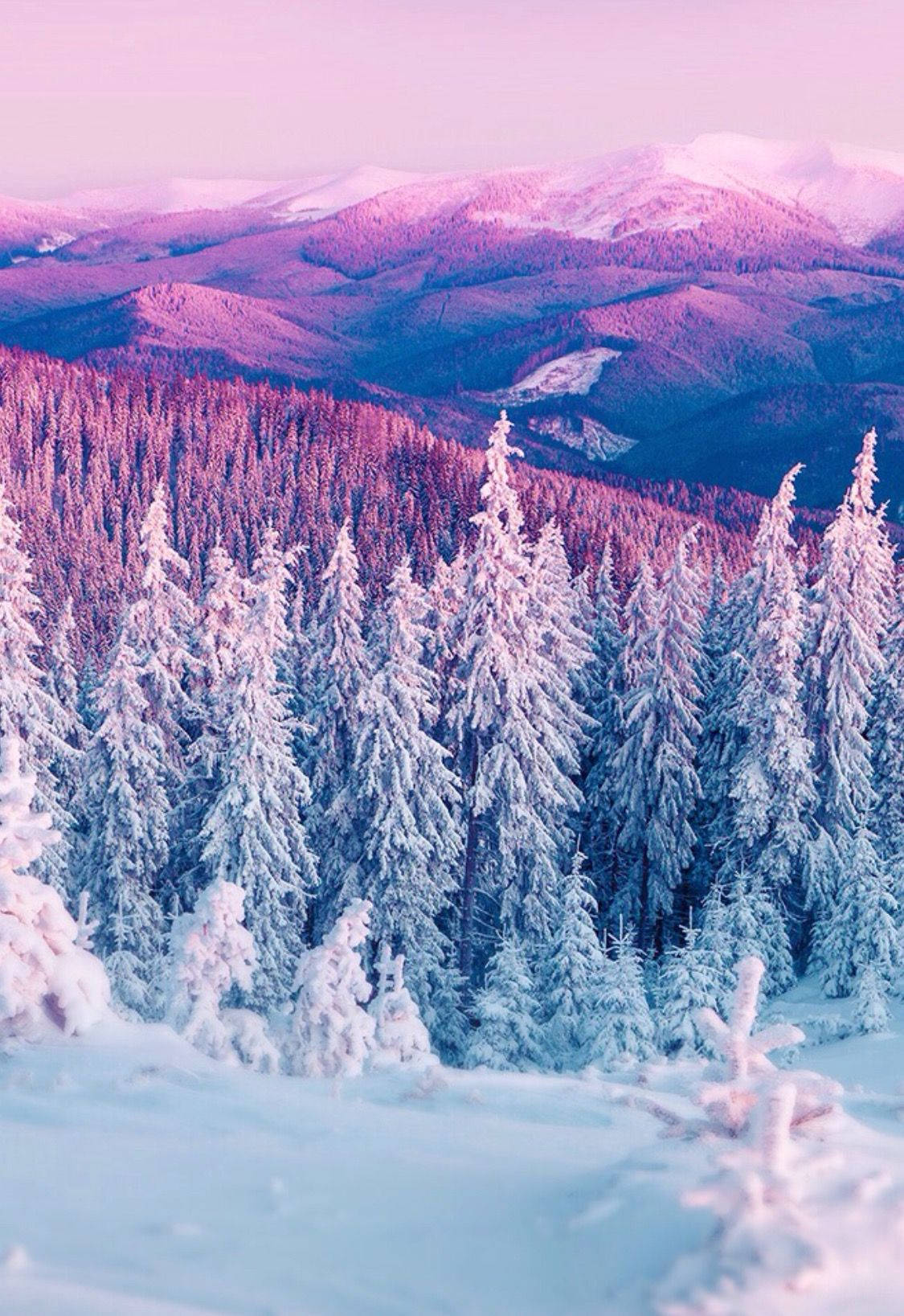 pastel mountain, trees, winter iPhone, HD Phone Wallpaper