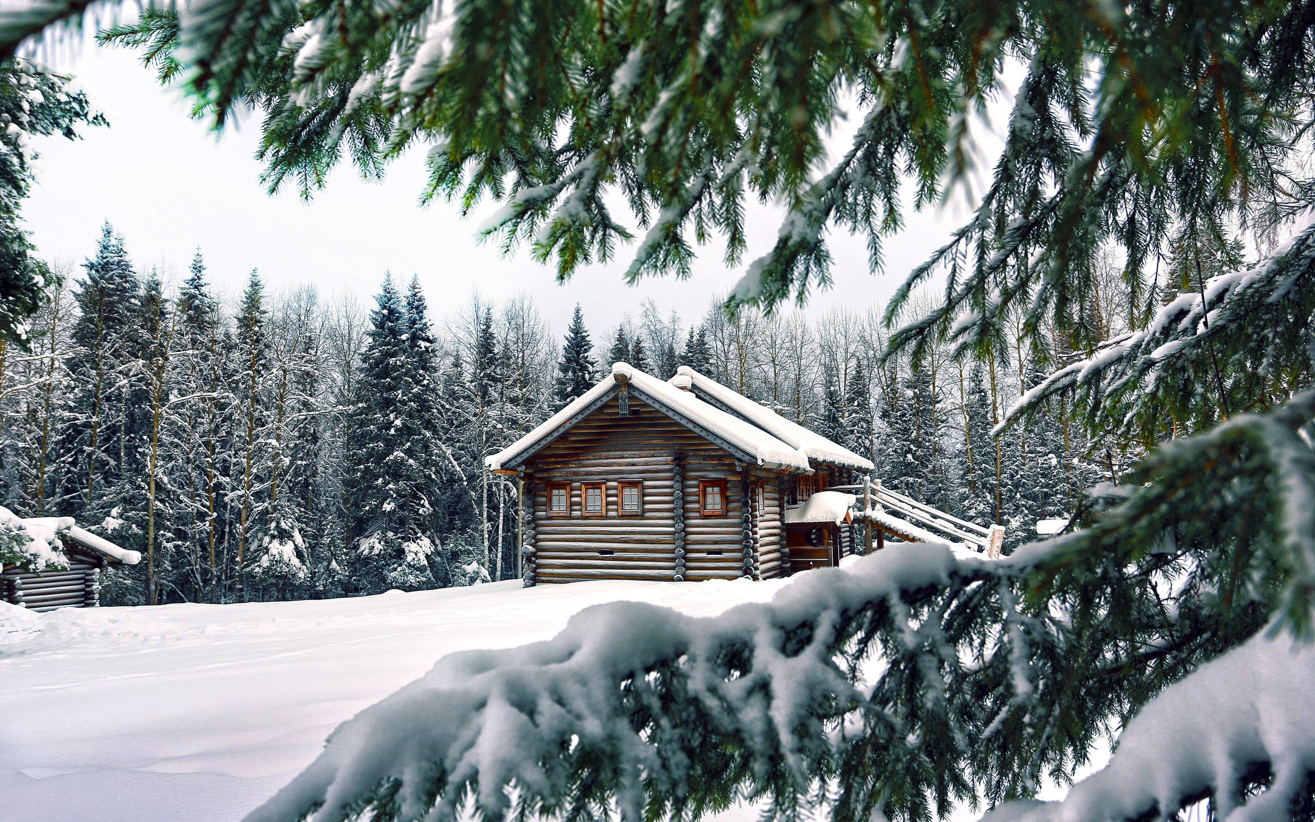 wooden cabin, snowy forest, snow-laden evergreen branches, 2K Desktop Wallpaper