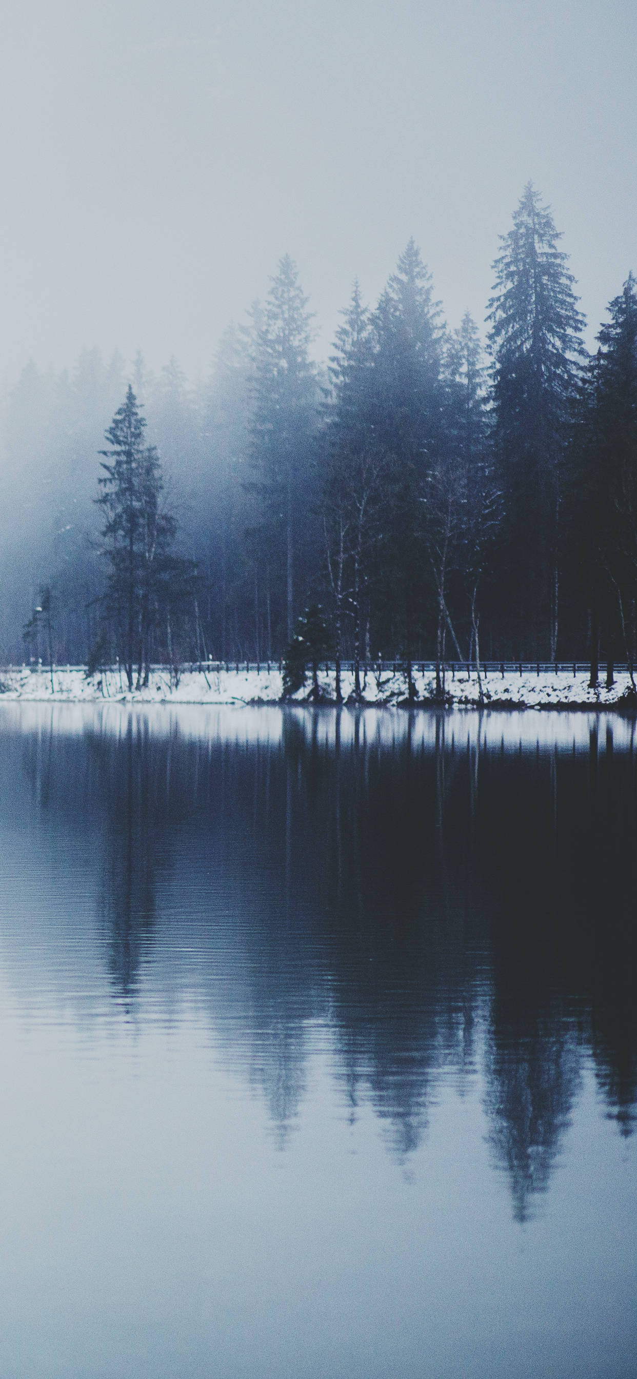 Winter iPhone, misty lake, snow-dusted evergreen trees, 2K Phone Wallpaper