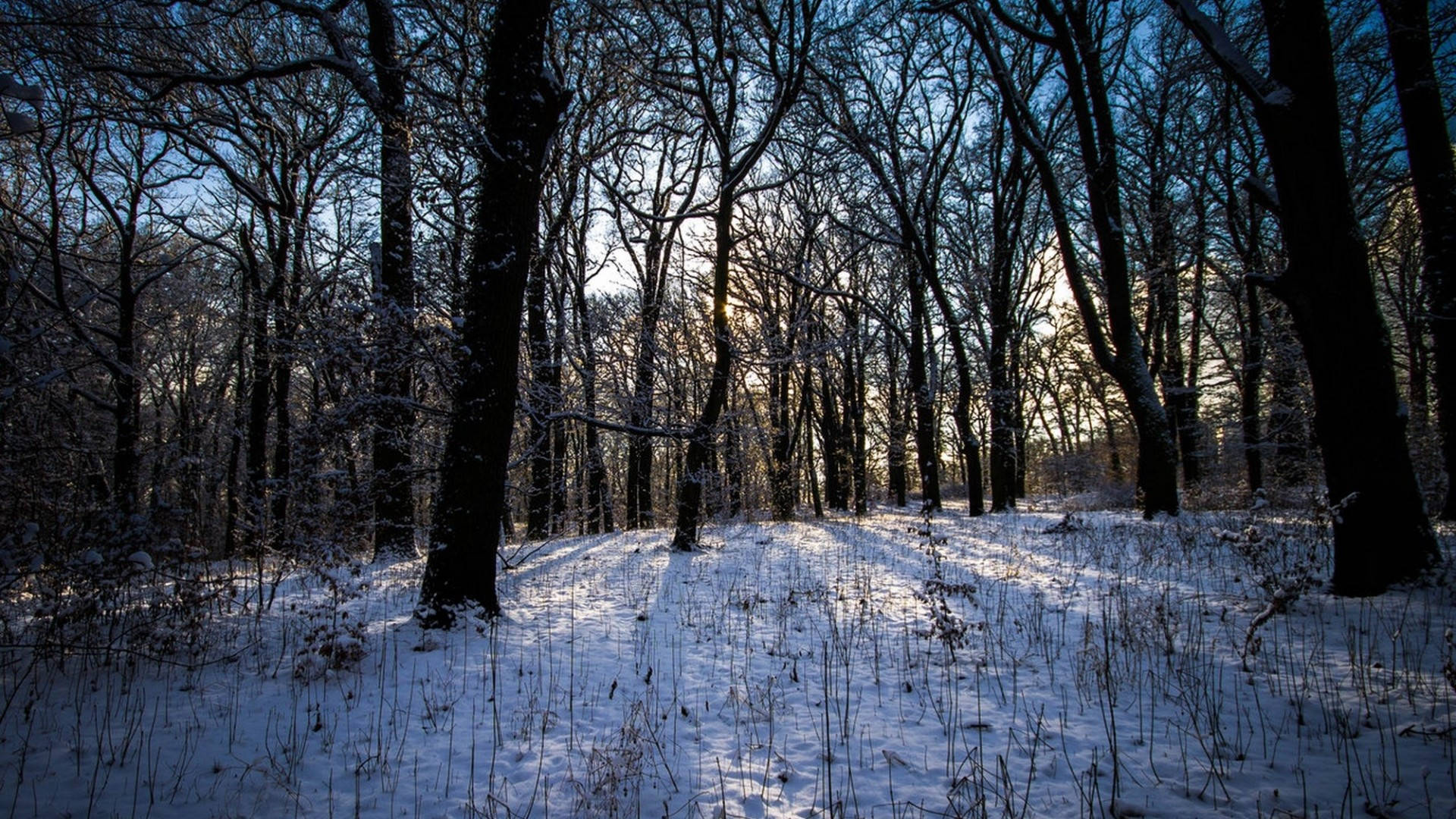 1920x1080, winter desktop, sunlight, Full HD Desktop Wallpaper