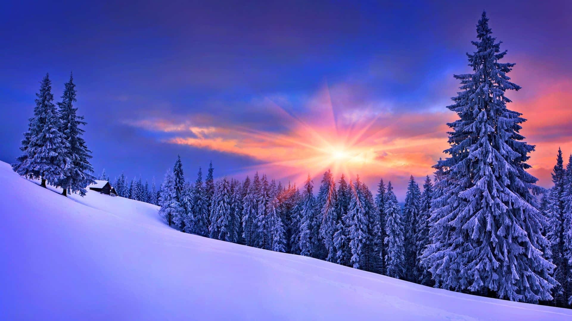snowy mountain forest, sunset, small cabin, Full HD Desktop Wallpaper
