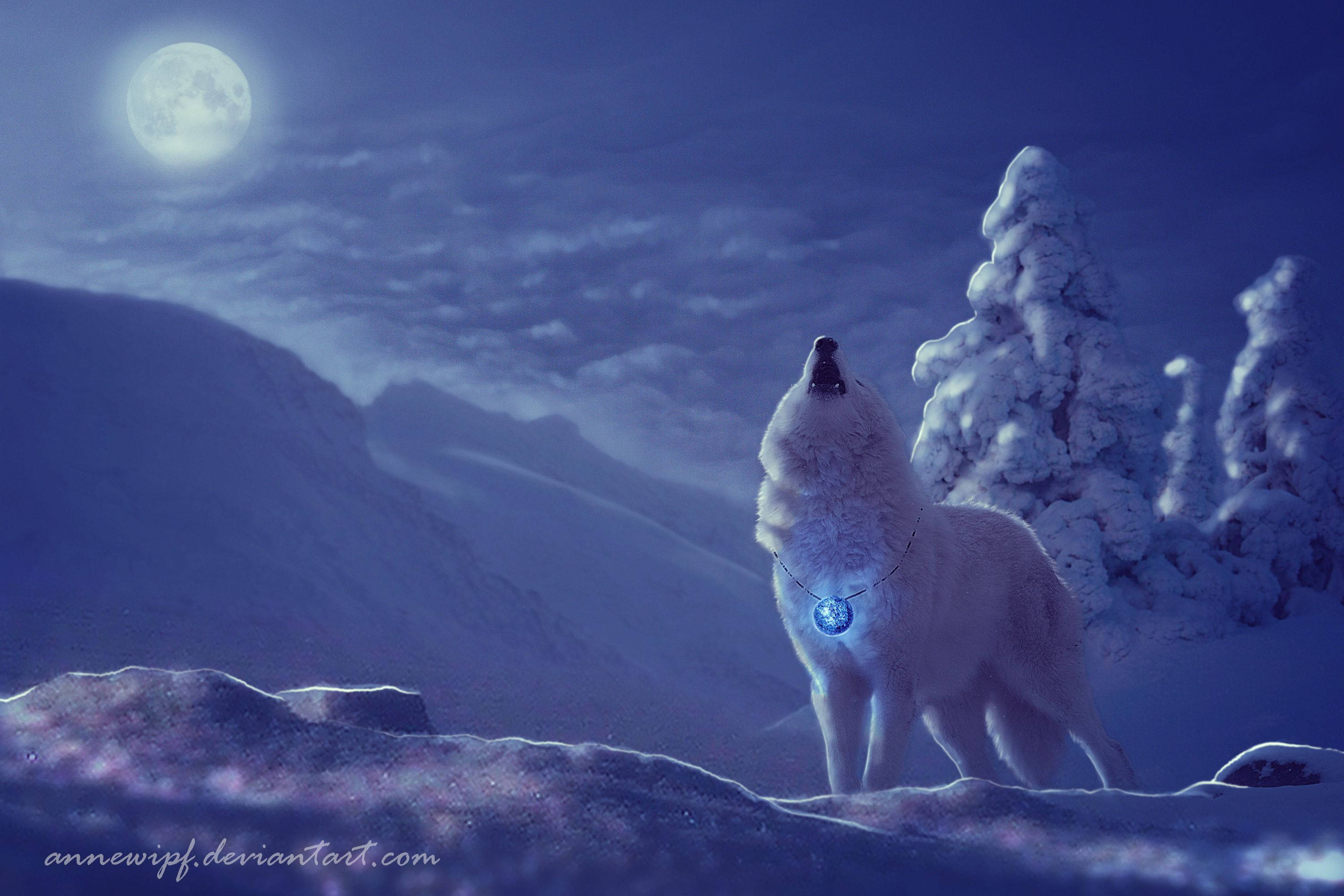 white wolf, full moon, snowy mountain ridge, 2K Desktop Wallpaper