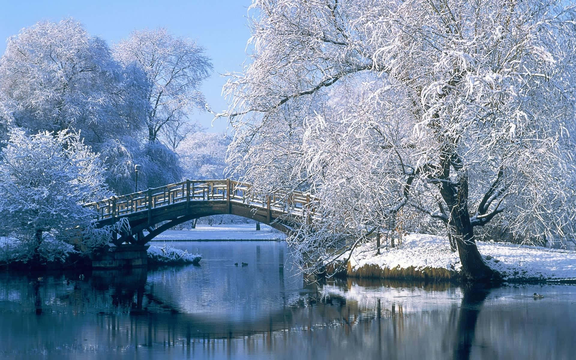 wooden arched bridge, calm winter river, snow-covered trees, Full HD Desktop Wallpaper