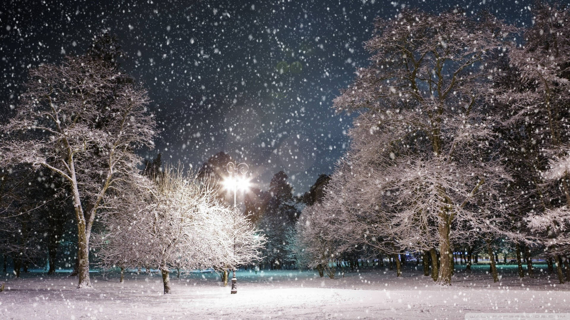 1920x1080, streetlamp, snow-covered trees, Full HD Desktop Wallpaper