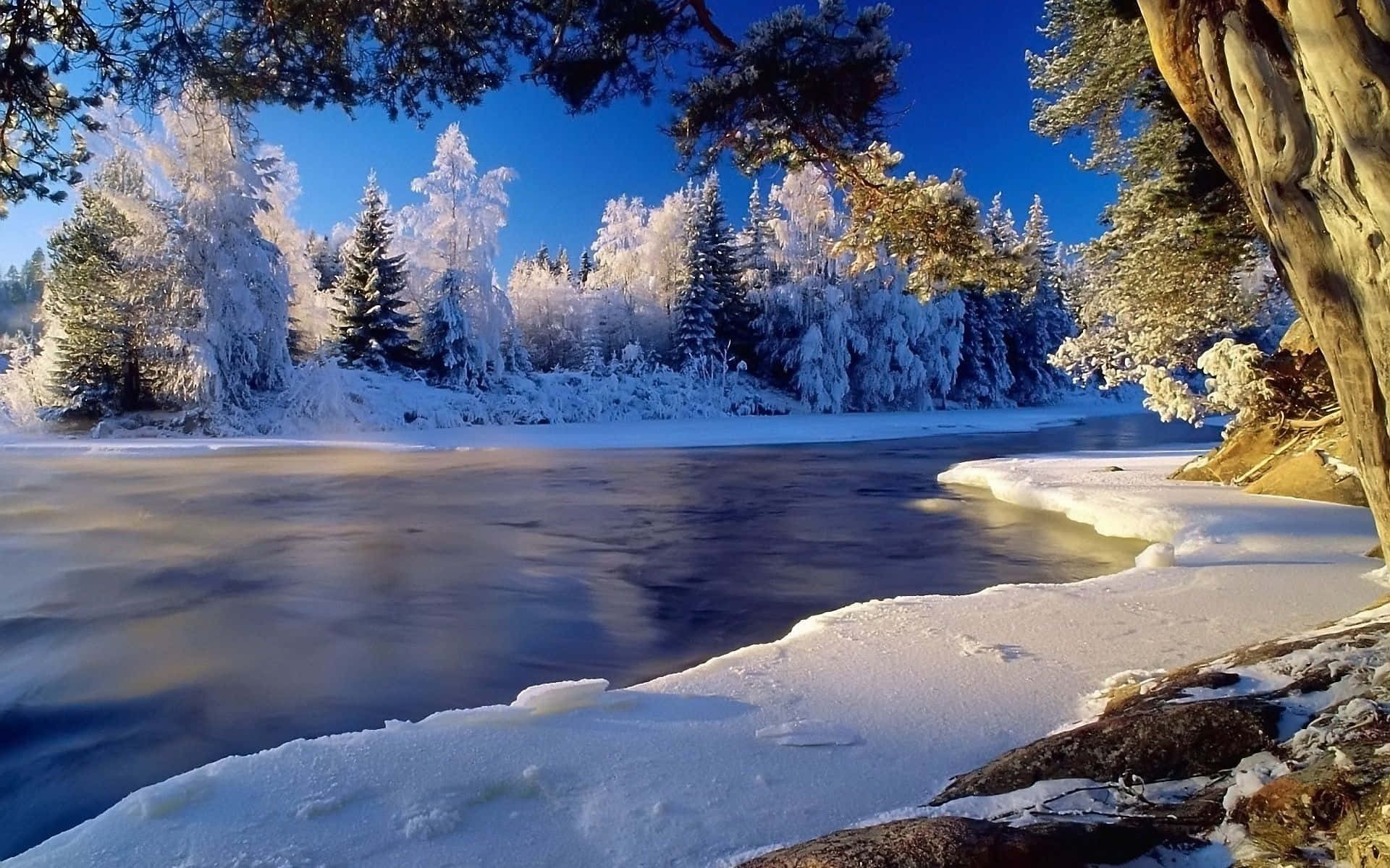 Frozen Forest River, winter scenery, snow-covered trees, Full HD Desktop Wallpaper