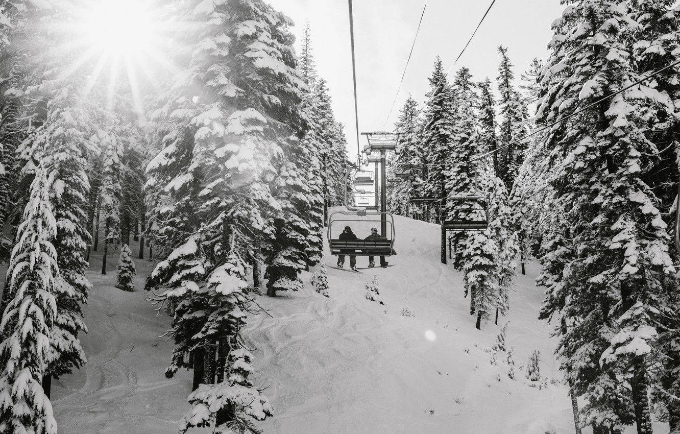 greyscale snow park winter landscape, chairlift, sunlit snowy forest, HD Desktop Wallpaper