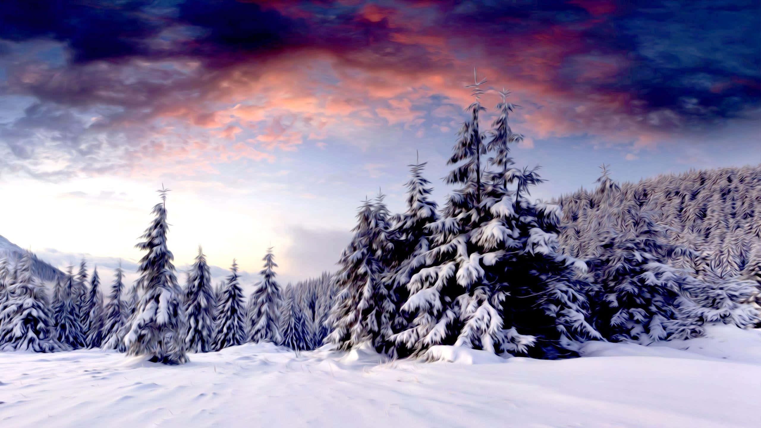 Winter Scenery Desktop, snow, evergreen trees, 2K Desktop Wallpaper