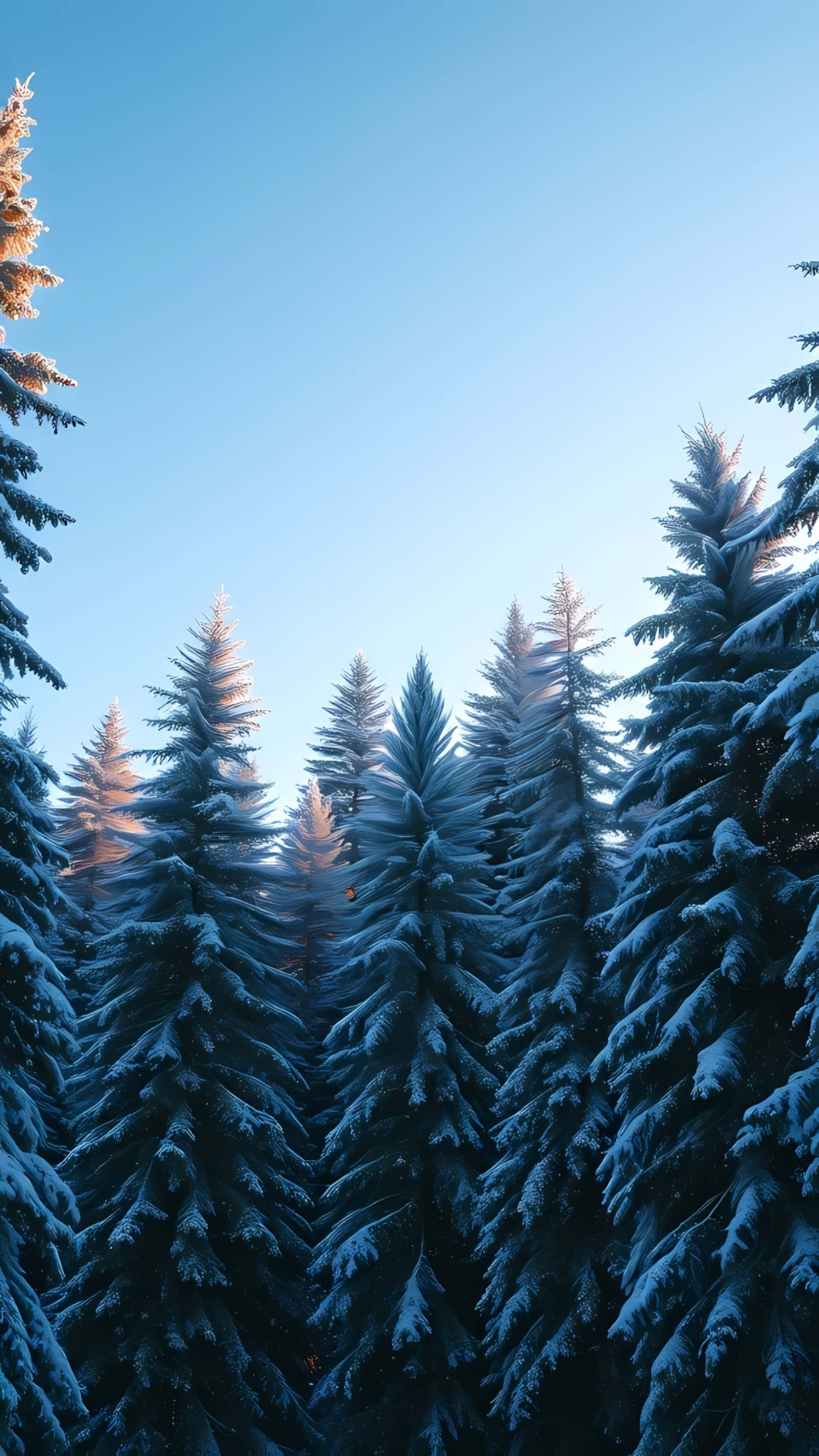 snow covered pine forest, clear blue sky, sunlight glinting, 2K Phone Wallpaper