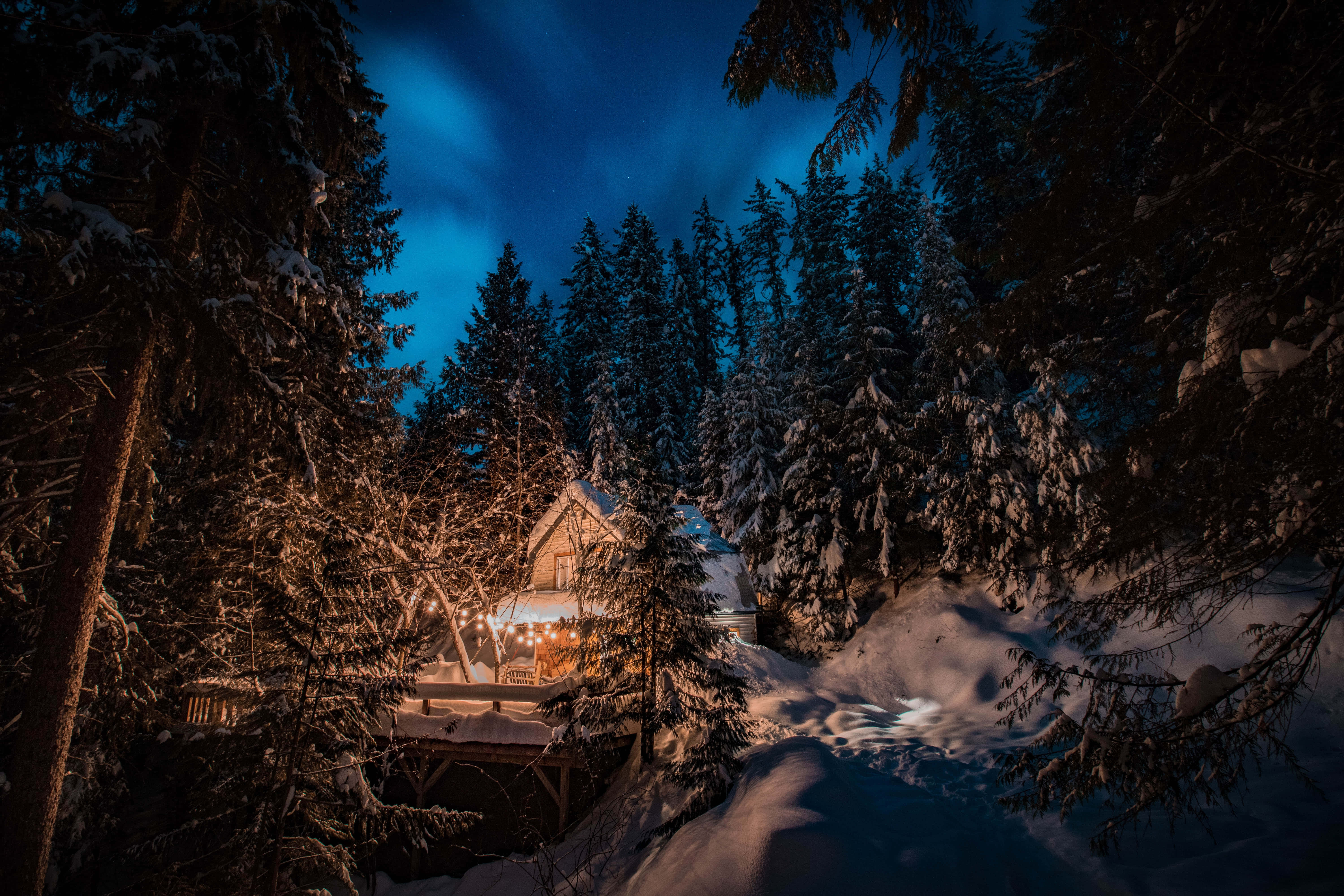 Winter Night Desktop, cabin in the woods, snowy forest, 5K Desktop Wallpaper