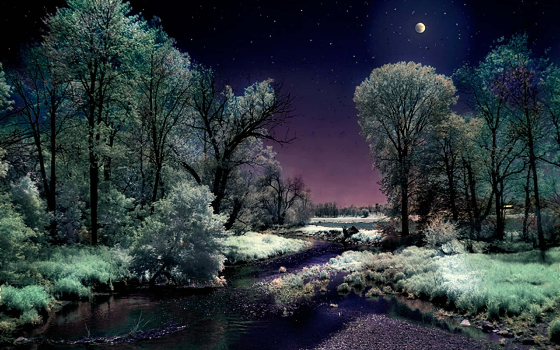 Winter Night Desktop, moon, frost-covered trees, Full HD Desktop Wallpaper