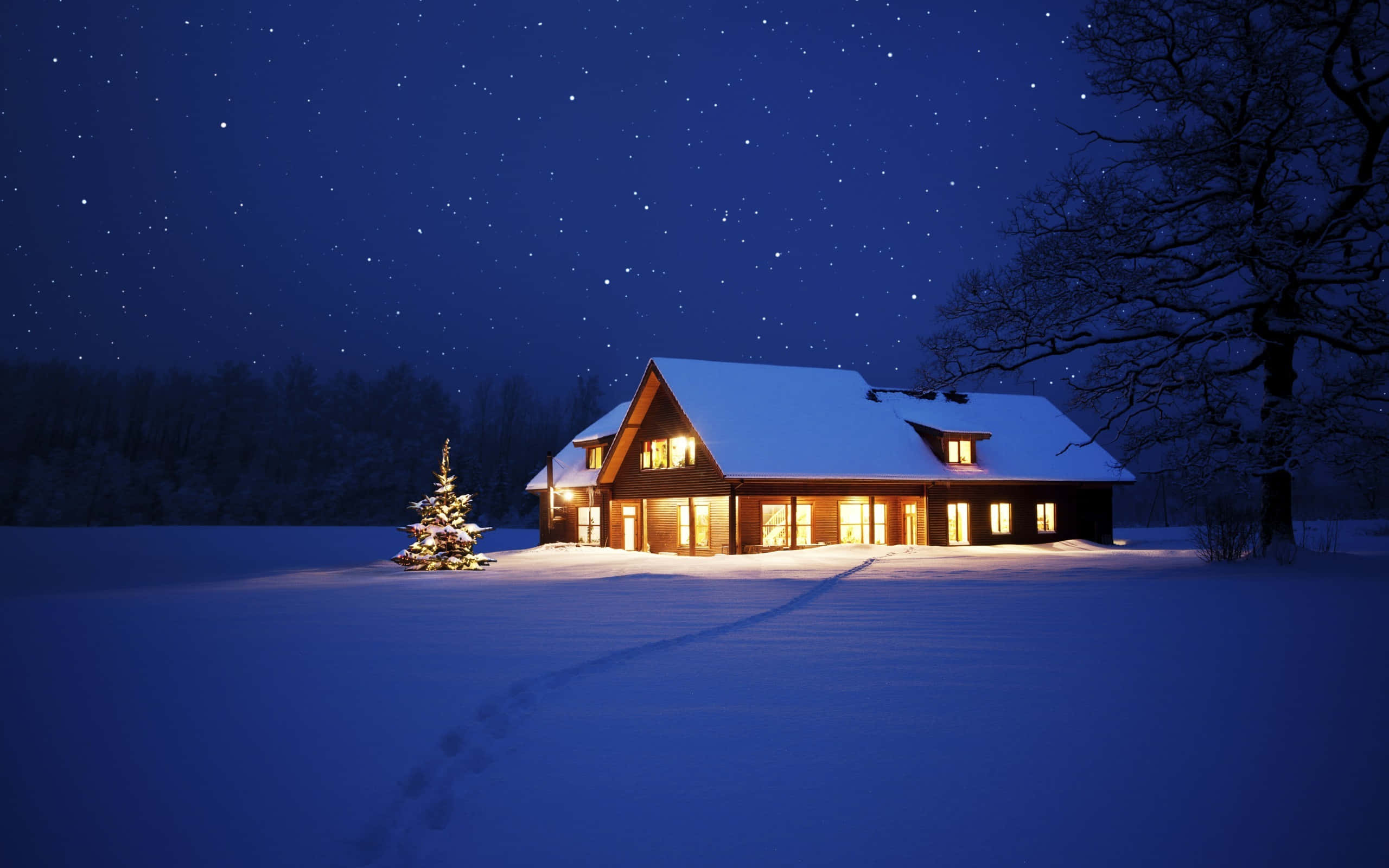 Winter Night Desktop, cozy wooden cabin, starry winter night sky, 2K Desktop Wallpaper