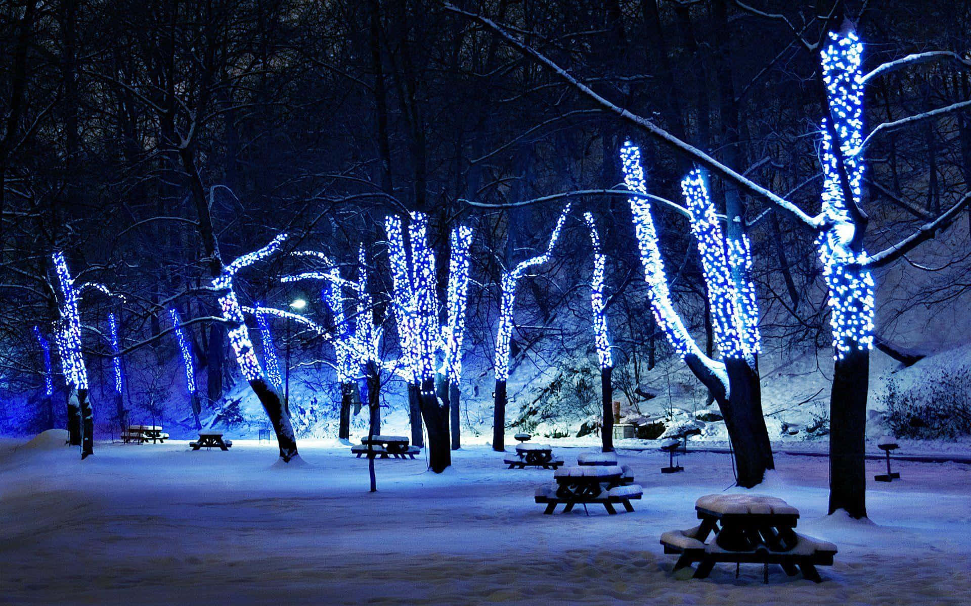 Winter Night Desktop, glowing blue string lights, snow, Full HD Desktop Wallpaper