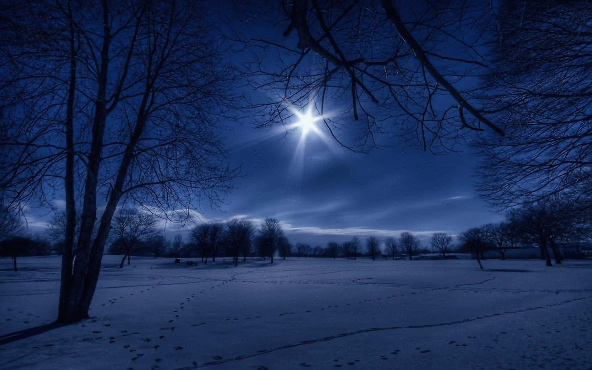 winter night desktop, star, bare tree branches, Full HD Desktop Wallpaper