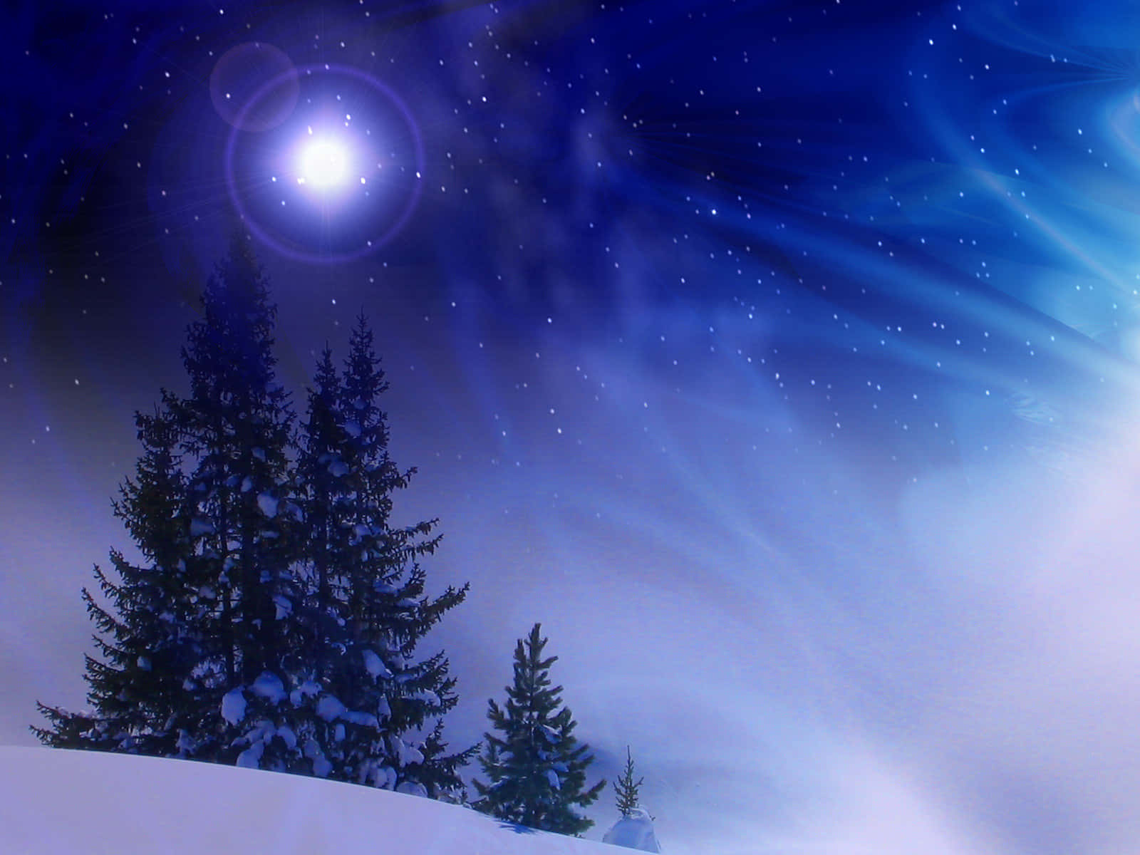 Winter Night Desktop, snowy pine trees, radiant moon, HD Desktop Wallpaper