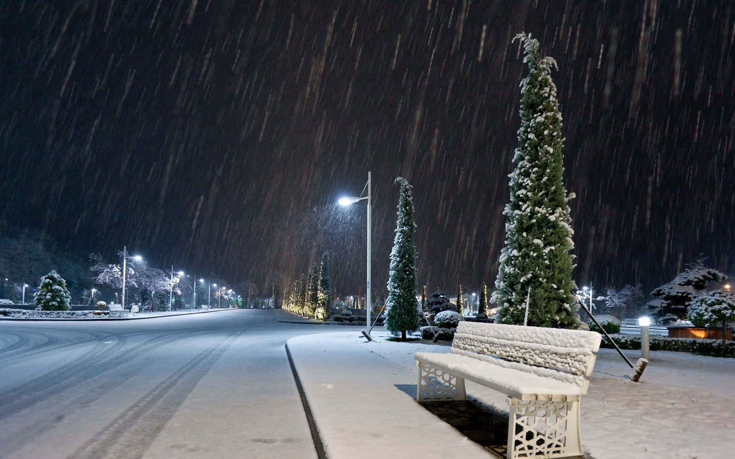 winter night desktop, snow-covered bench, quiet sidewalk, 2K Desktop Wallpaper